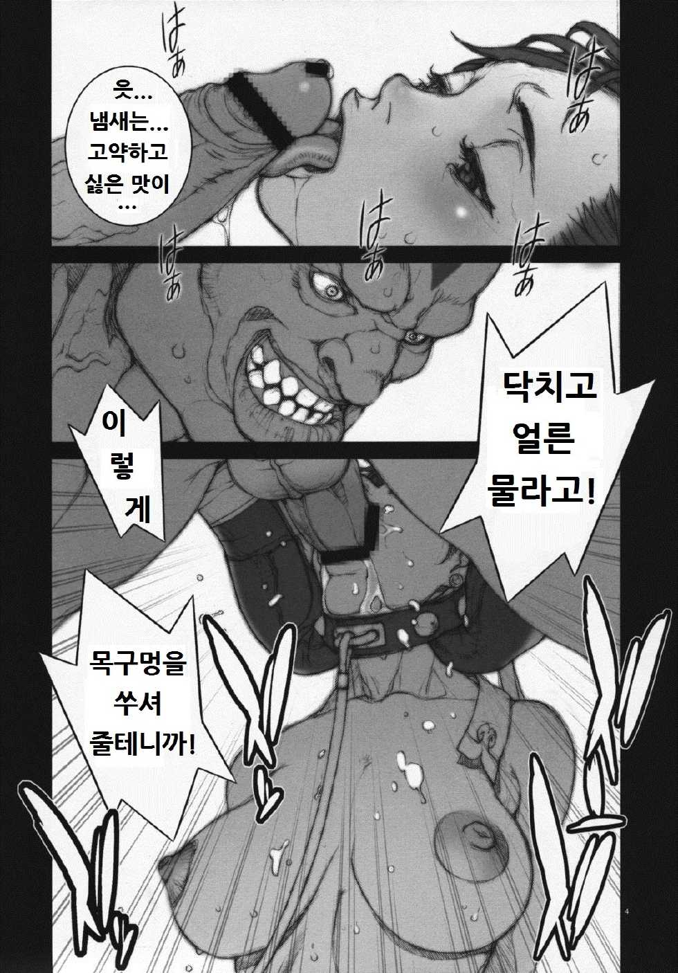 (COMIC1☆3) [P-Collection (Nori-Haru)] Haru Urara 3 (Street Fighter) [Korean] - Page 5