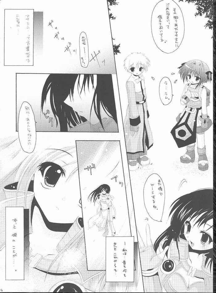 (C68) [Hisuitei (Izumi Tsubasu)] Koi no Kanzume (Ragnarok Online) - Page 3