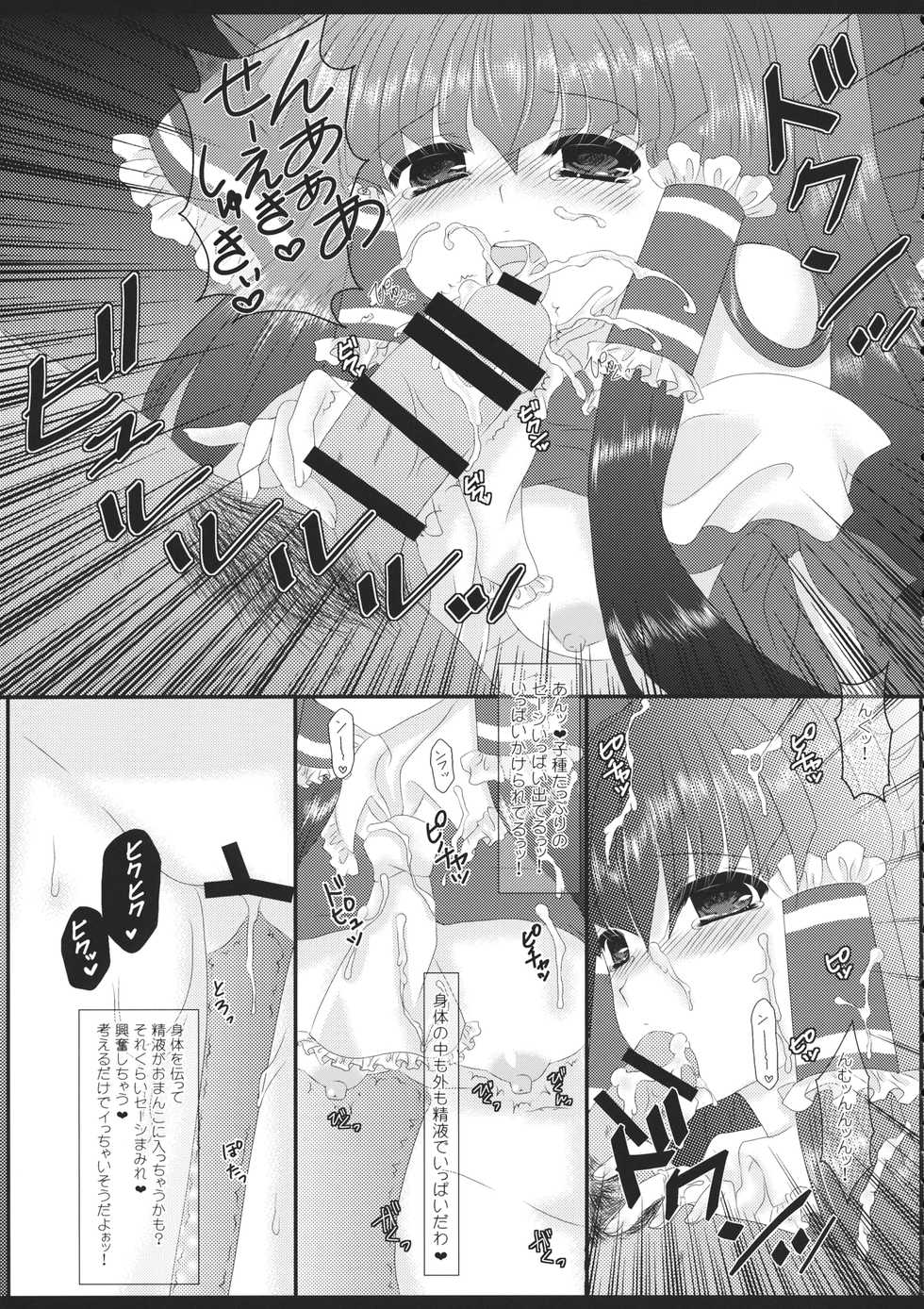 (Reitaisai 11) [Setoran (Itou Seto, Tanno Ran)] CHAN CHAN (Touhou Project) - Page 14