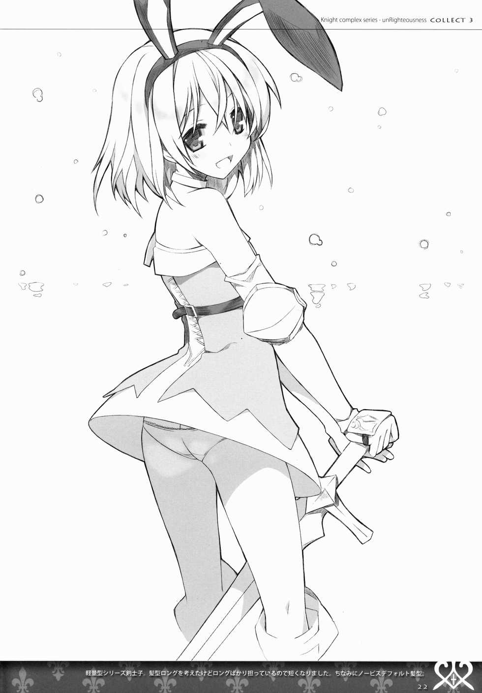 (C86) [sobaworks (Akisoba)] unRighteousness CoLLECT 3 (Ragnarok Online) - Page 23