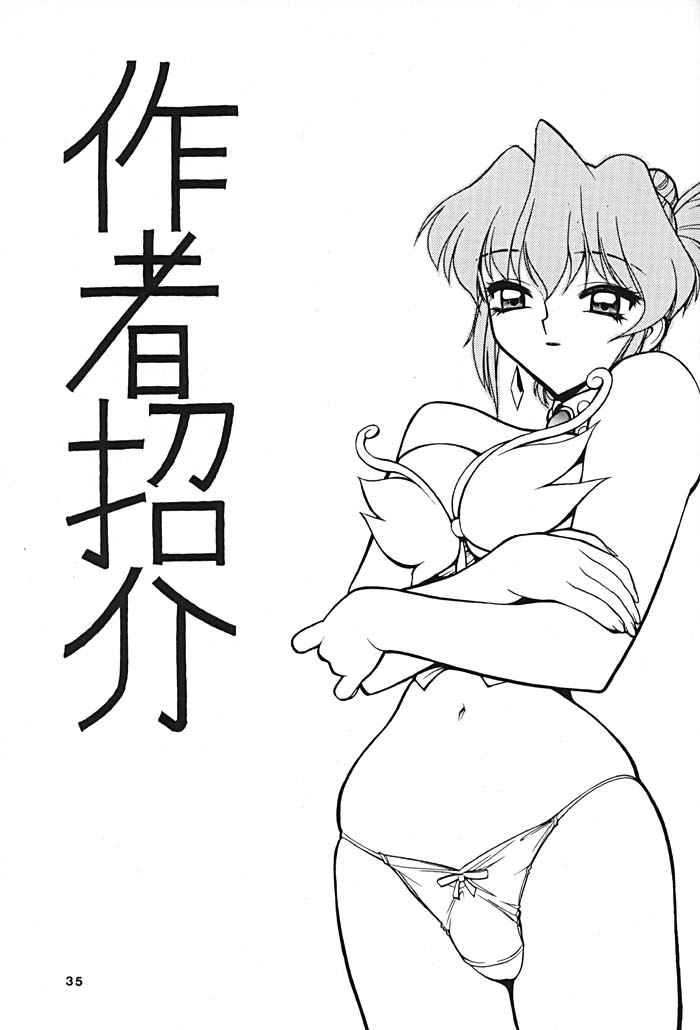 (C54) [Nawanoren (Gachoon, Roncharou)] NN ORIGINAL (Various) - Page 34