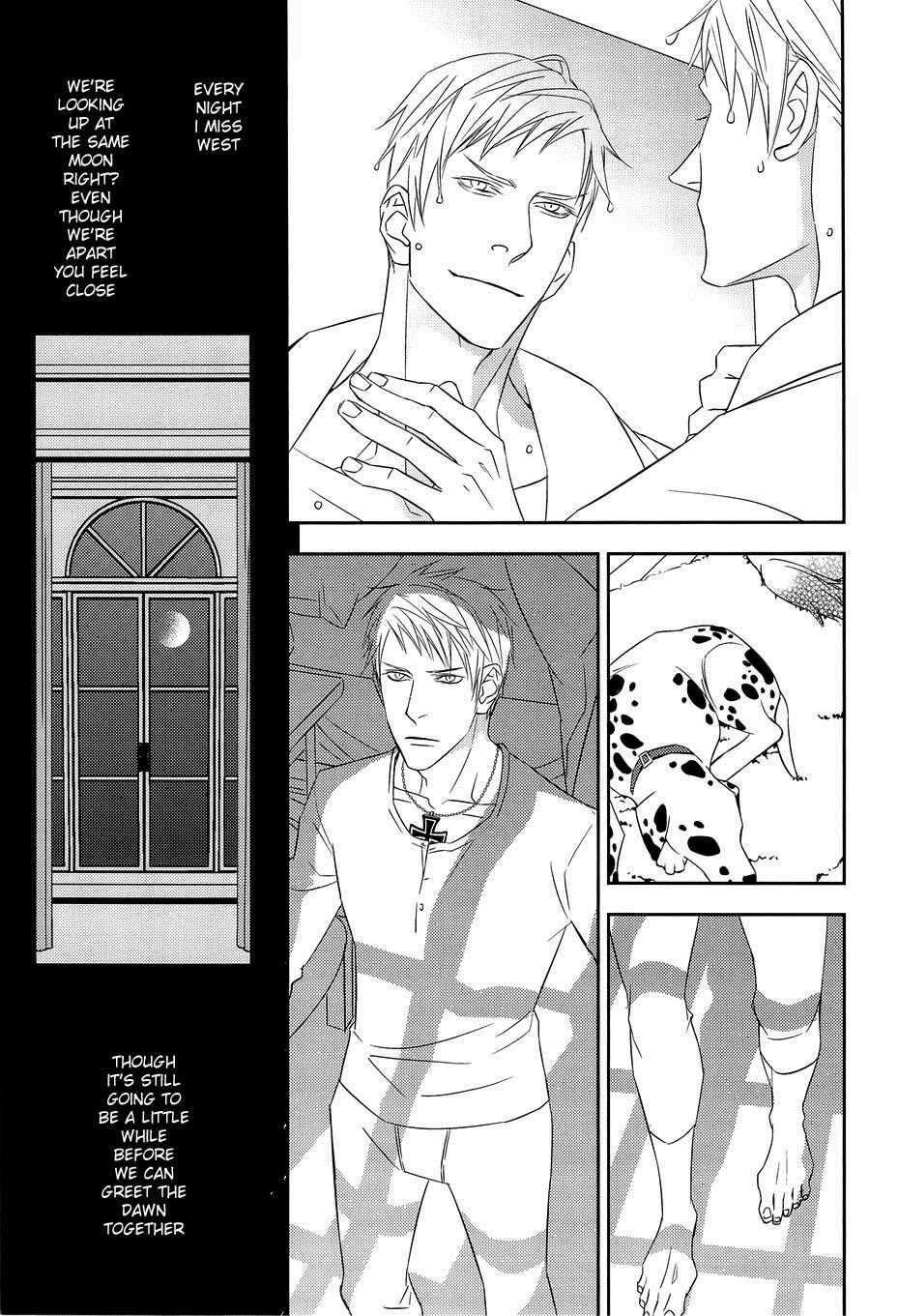[dalia (Kadarinka)] AUCTION Zenpen (Axis Powers Hetalia) [English] - Page 15
