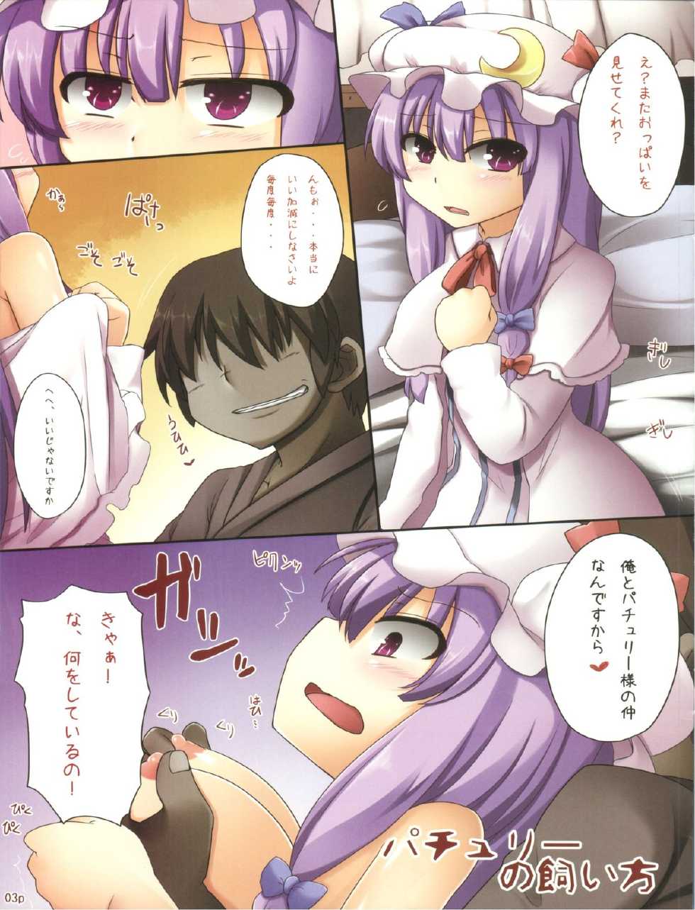 (C79) [Arysuivery, Chiyohan (Ayakase Riberi, Chiyoko)] Patchouli no Kaikata (Touhou Project) - Page 3