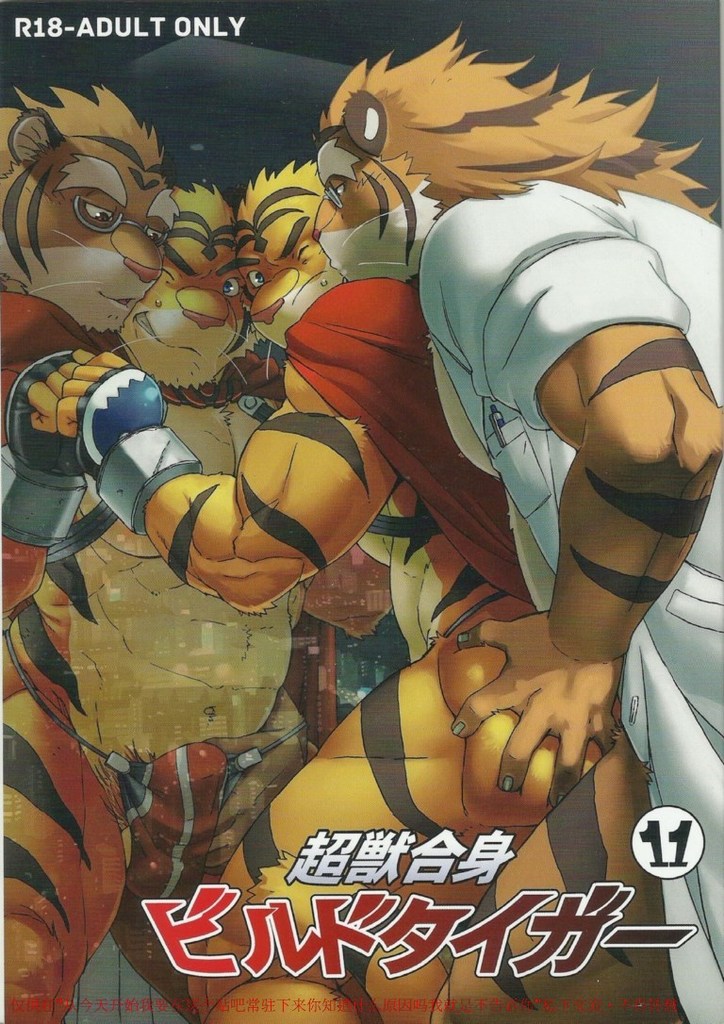 (C86) [Dragon Heart (gamma)] Choujuu Gasshin Build Tiger 11 - Page 1