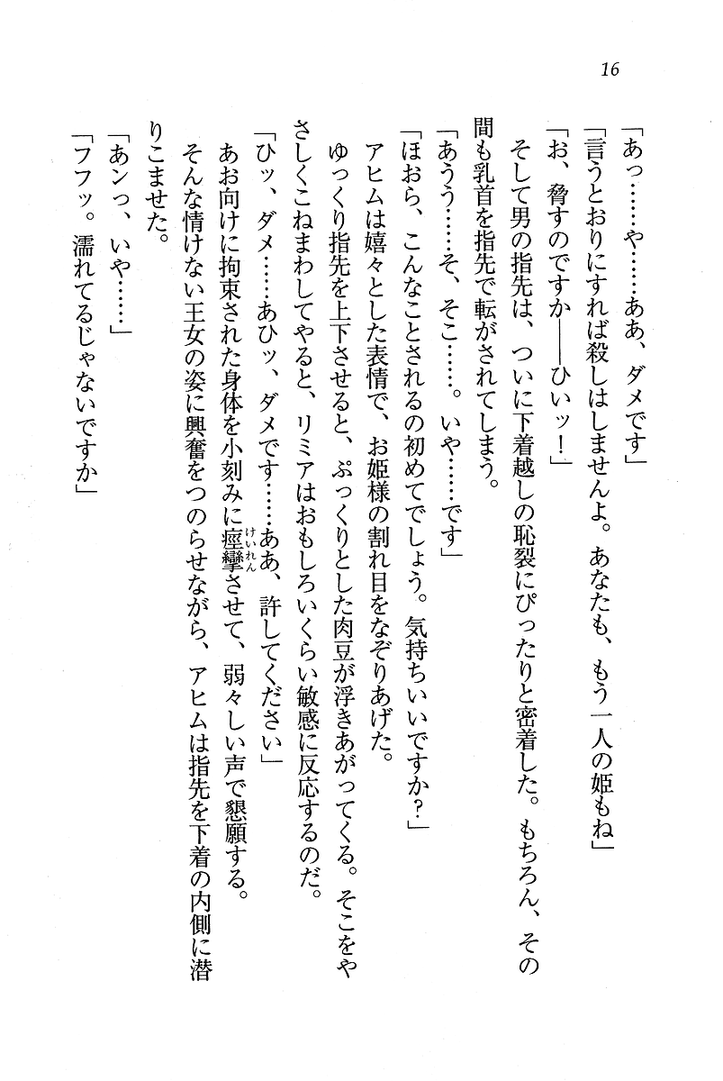 [Hokuto Rin, Serizawa Katsumi] Oujo Shimai - Page 17