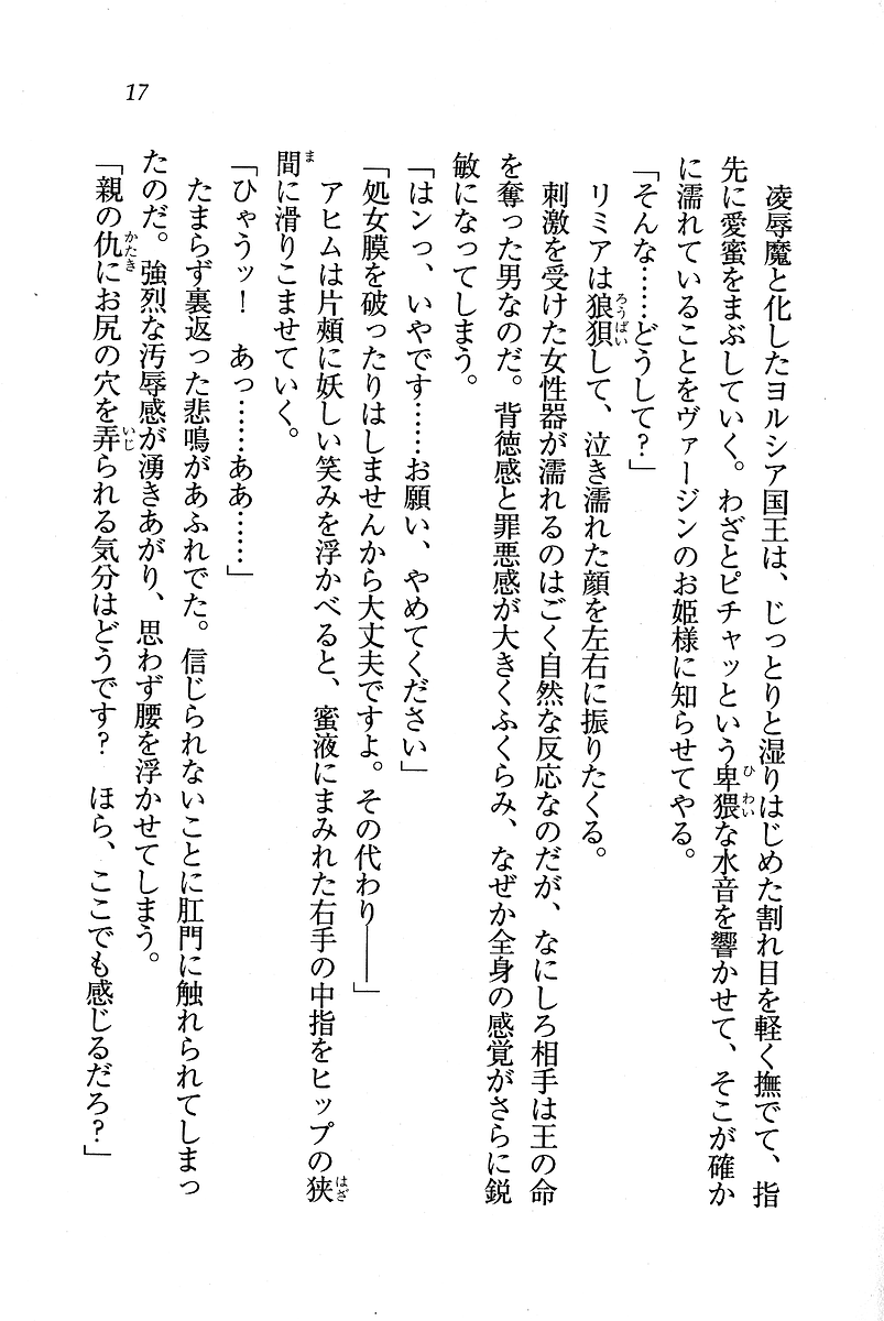 [Hokuto Rin, Serizawa Katsumi] Oujo Shimai - Page 18