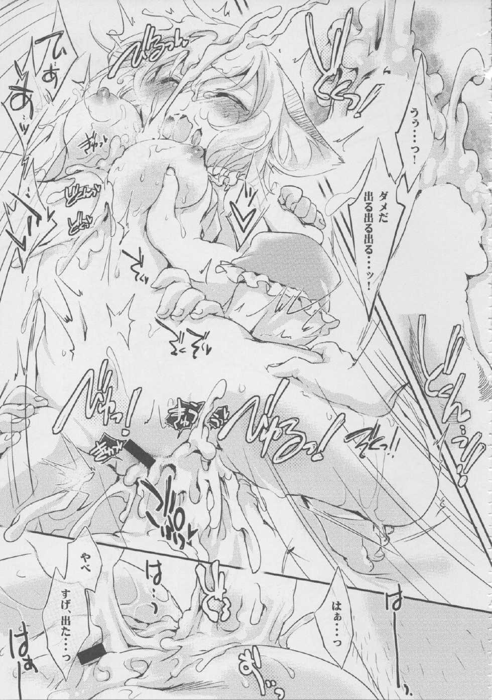 (C85) [Hinaprin (Ikuta Takanon)] Boku-ra no Yutanpo. (Touhou Project) - Page 14