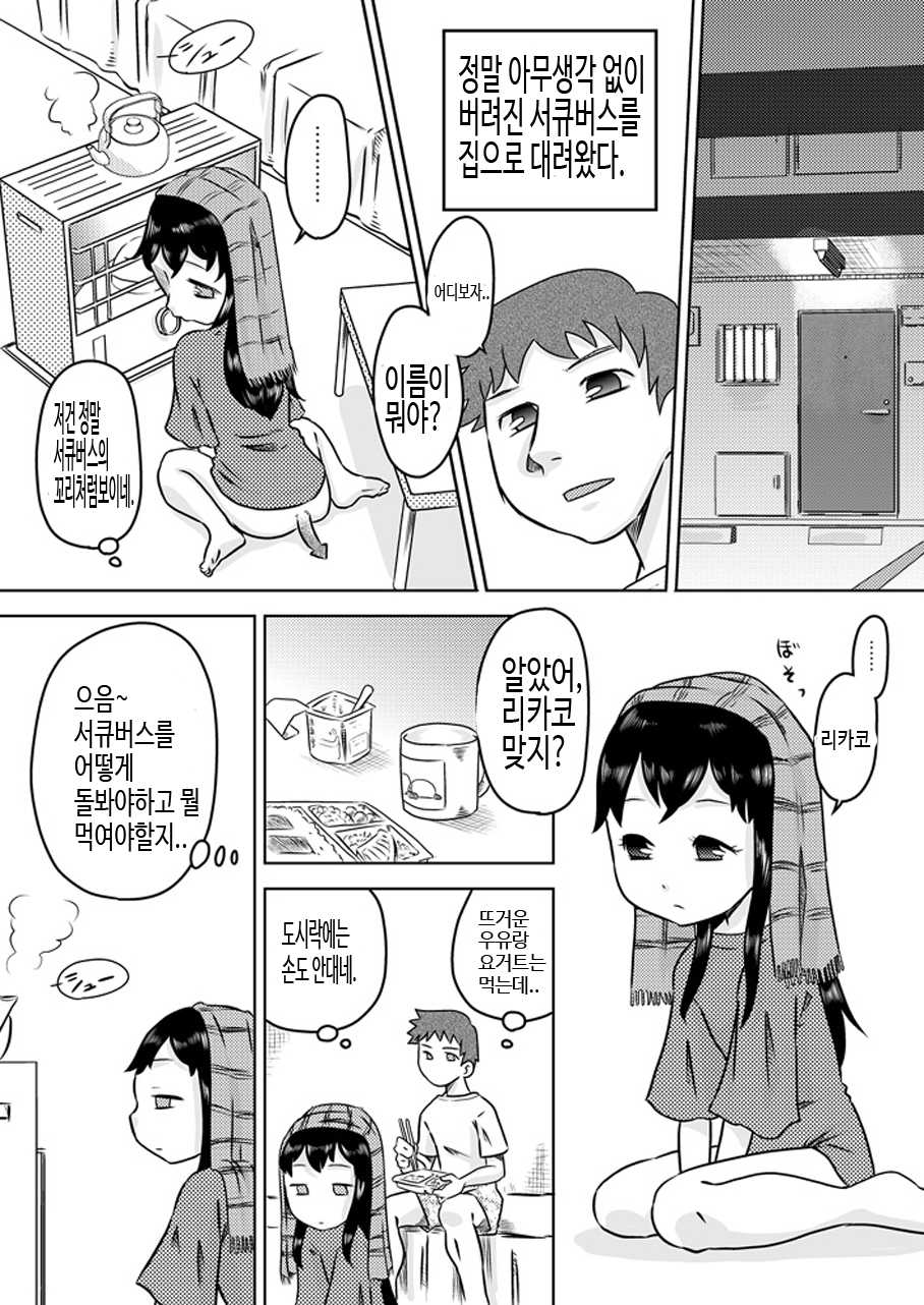 [Calpis Koubou] Hiroi Shoujo ~Aru Ame no Hi Loli Succubus wo Mochi Kaetta~ [Korean] {팀ALONE} - Page 5