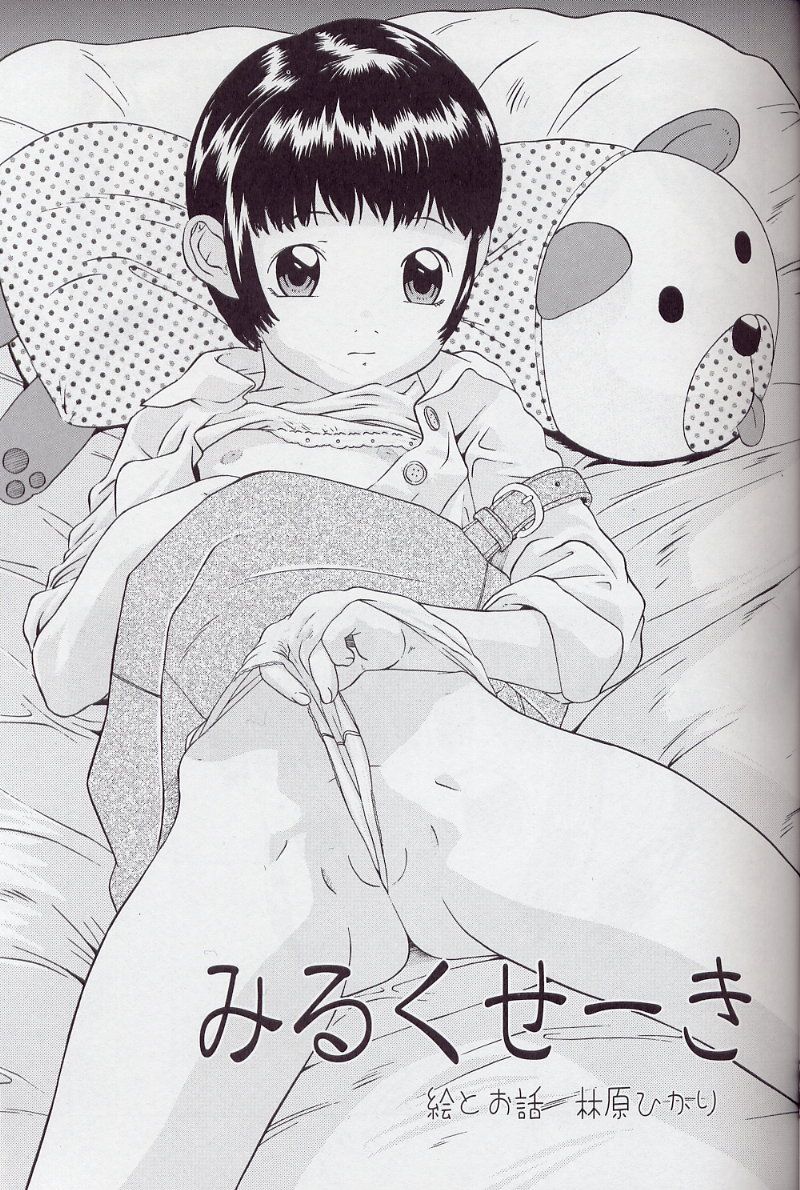 (C63) [Momonga Club (Hayashibara Hikari)] Mousou Enikki - Page 4