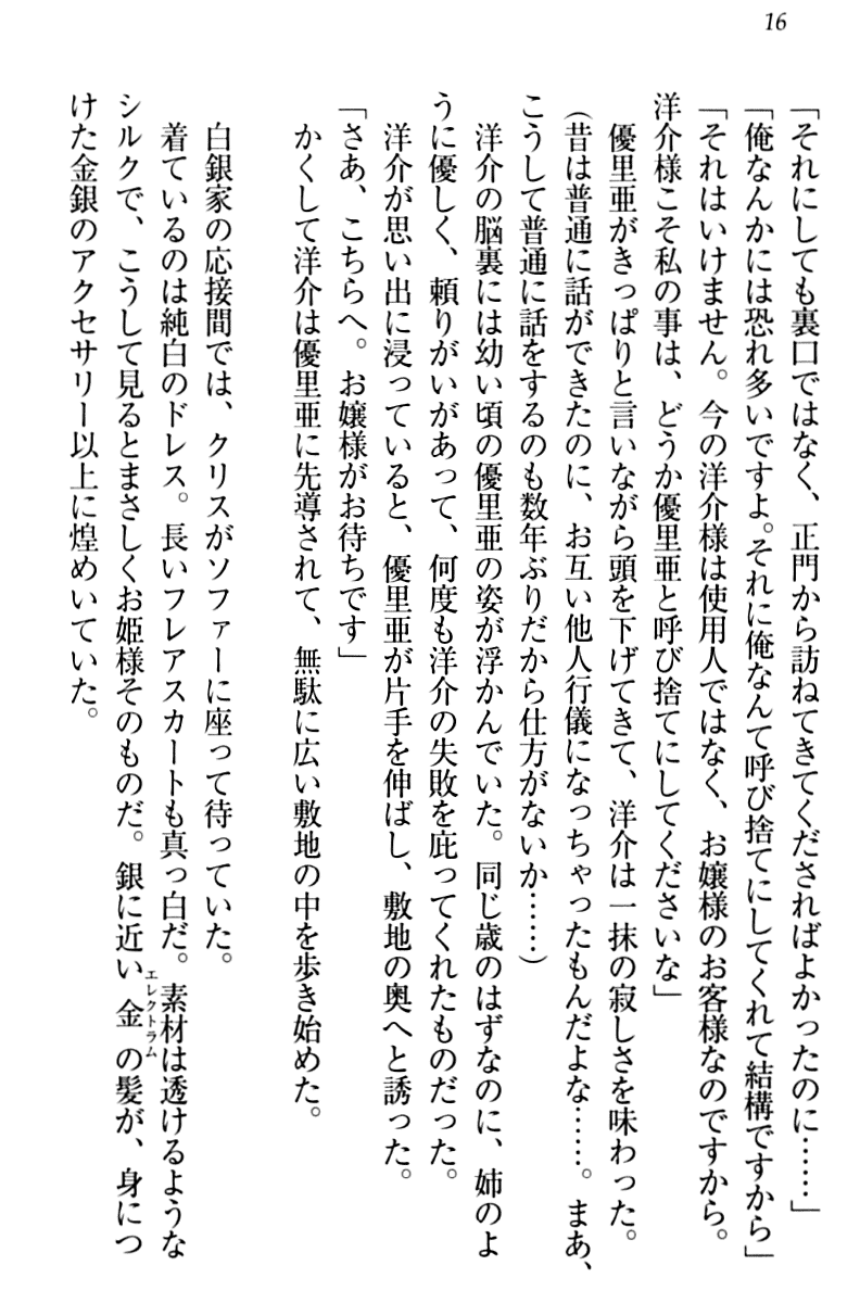 [Hiei Murasaki, Ozawa Akifumi] Shirogane no Ojousama to Shihai no Cloth - Page 26