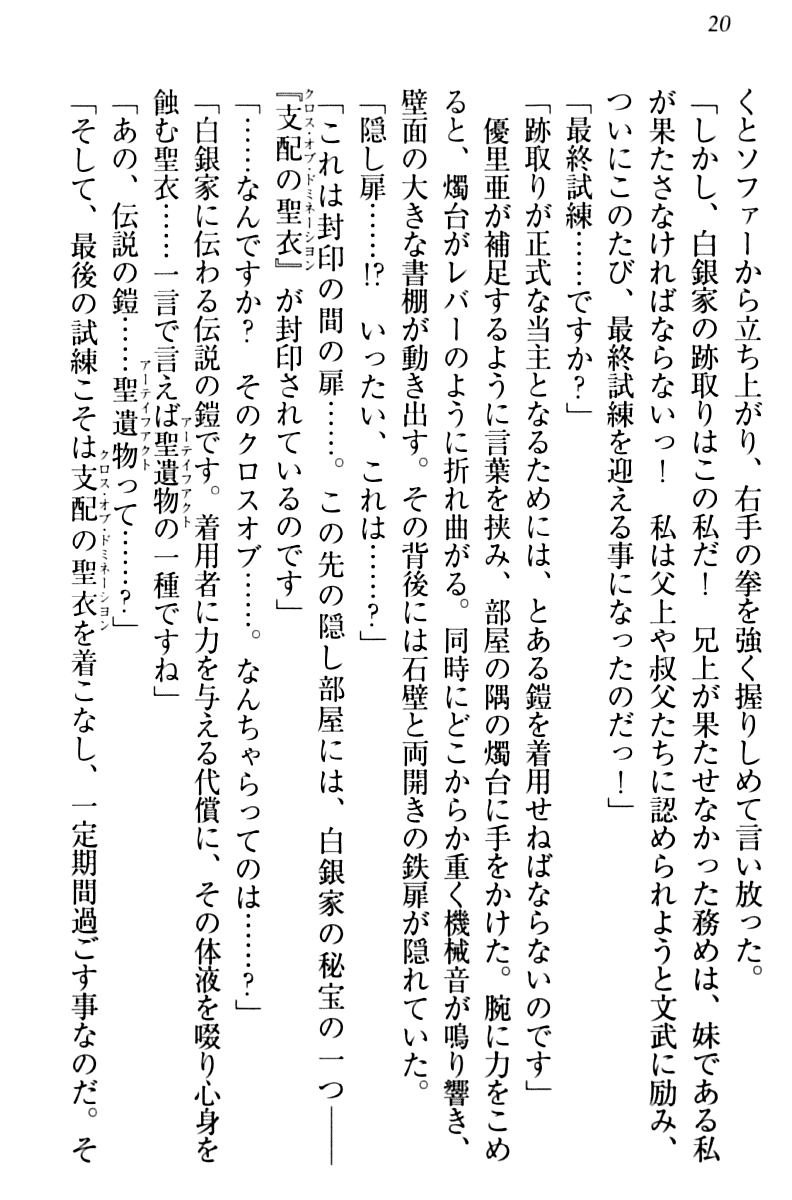 [Hiei Murasaki, Ozawa Akifumi] Shirogane no Ojousama to Shihai no Cloth - Page 30