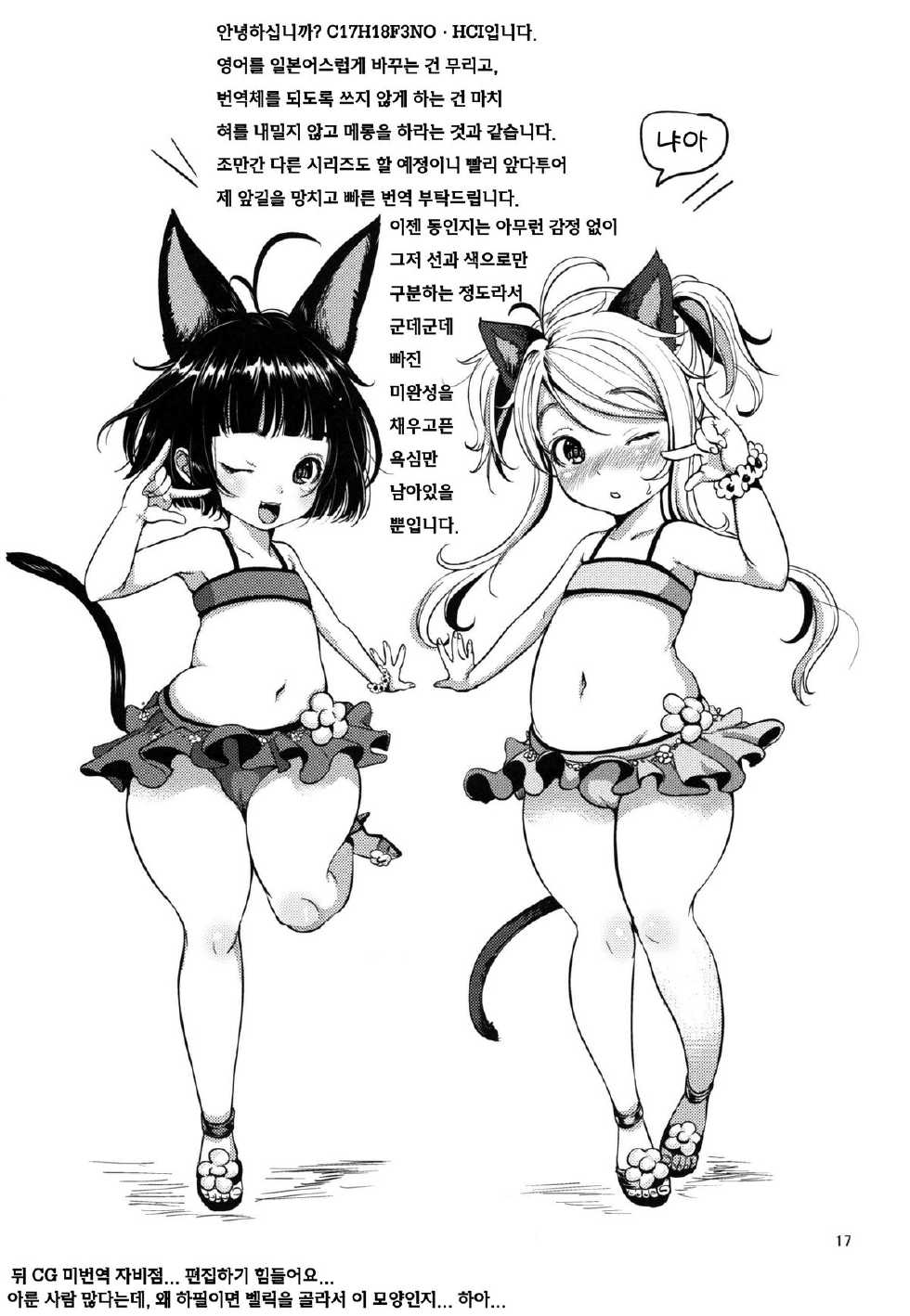 (C82) [Team Kihara (Mojarin)] Elin Peropero x 3 (TERA The Exiled Realm of Arborea) [Korean] [C17H18F3NO·HCI] - Page 19