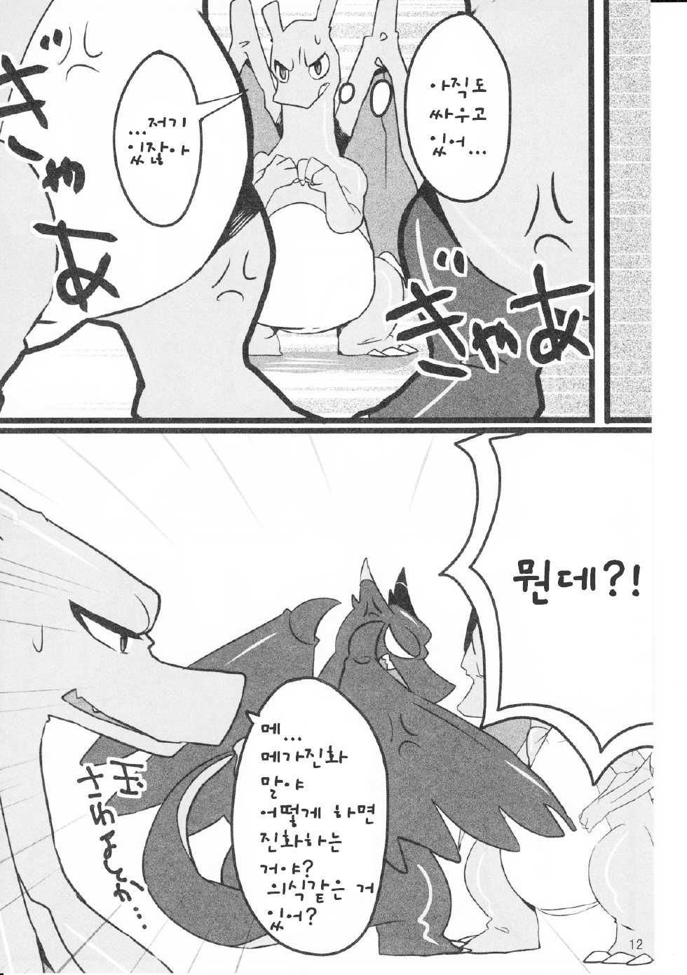 (Kemoket 3) [Kemorun (Hakuari)] Liza Liza Liza! (Pokémon X and Y) [Korean] [TeamEmchangLife] - Page 11