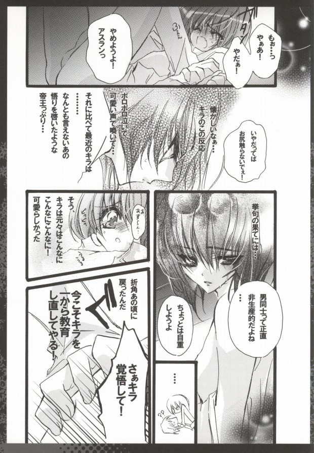 (ZENKOKU5) [RIRIADOLL (Takewakamaru)] Bokura no Destiny Plan (Gundam Seed Destiny) - Page 6