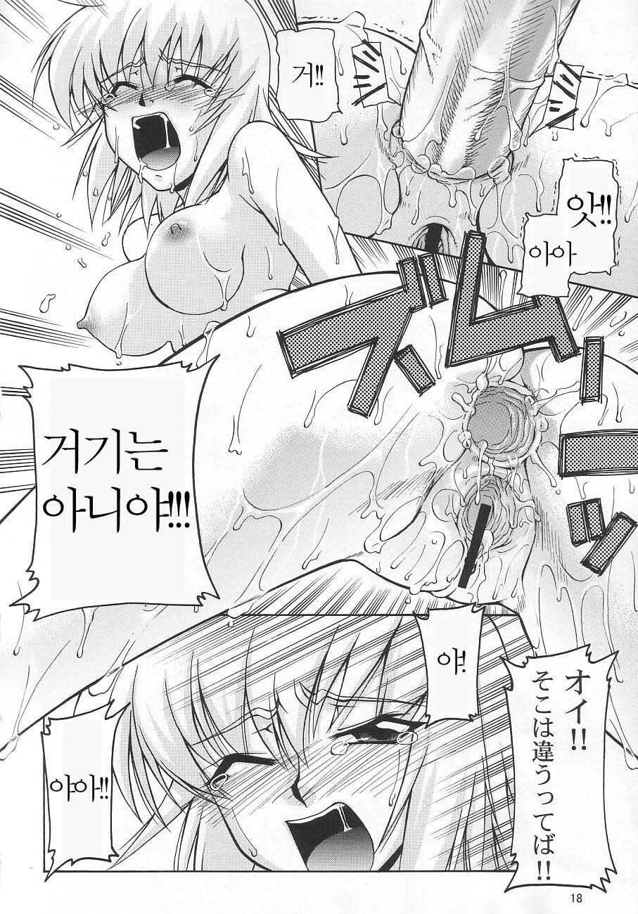 (C65) [GOLD RUSH (Suzuki Address)] Emotion (Ki) | Emotion (Like) (Gundam SEED) [Korean] [공동구매] - Page 18