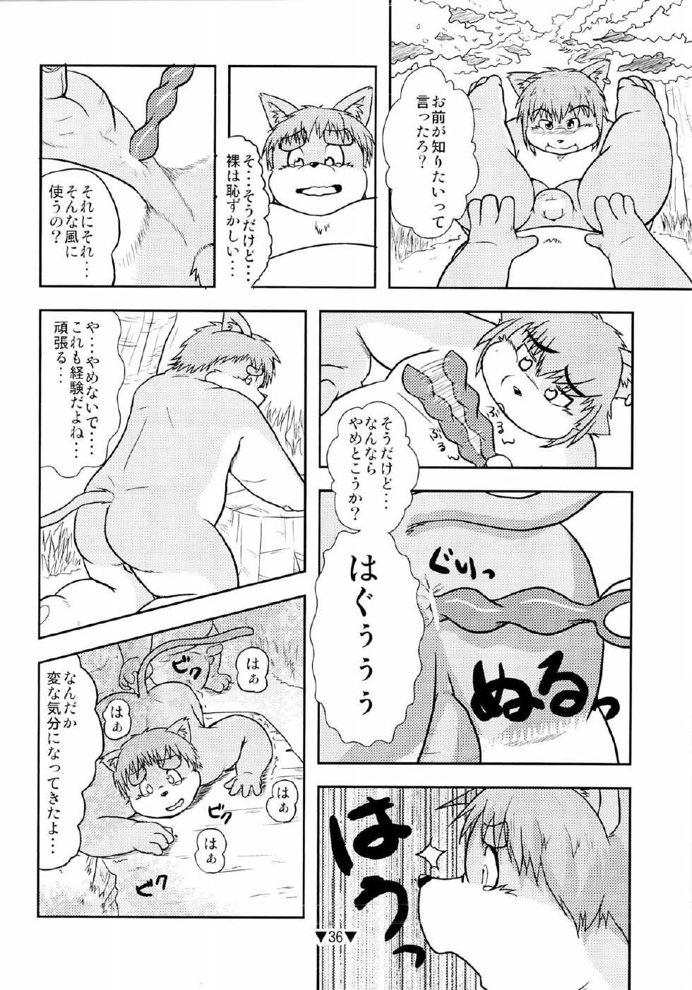 (C78) [Waffle Sand (Various)] Waffle Sand Vol. 5 - Page 34