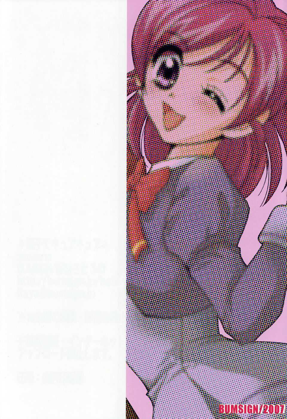 (C72) [BUMSIGN (Itaya Satoruno)] Oyako De Cure Cure (Yes! Precure5) - Page 30