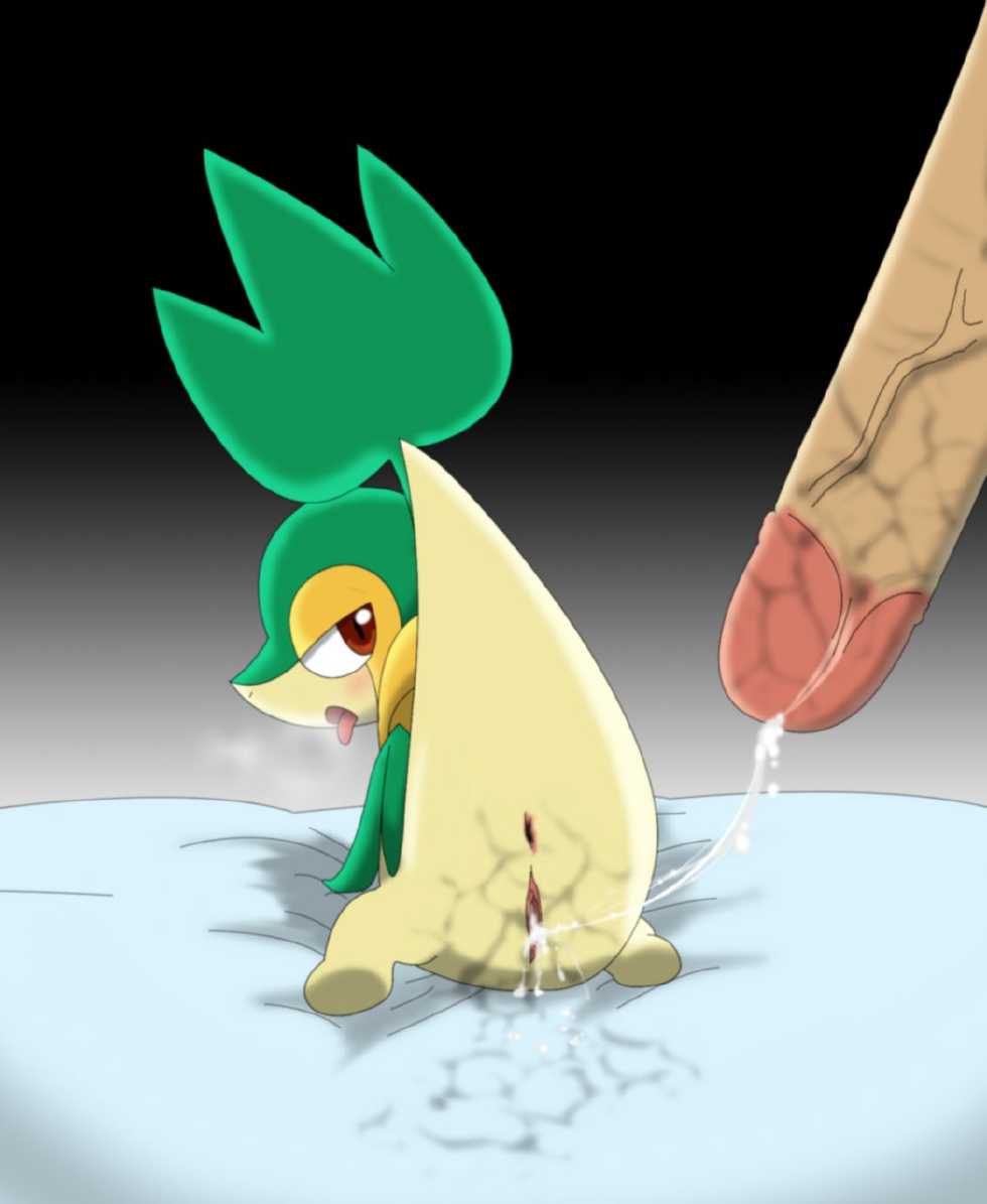 [Winick-Lim] Mate With Her Trainer (Pokemon) - Page 11