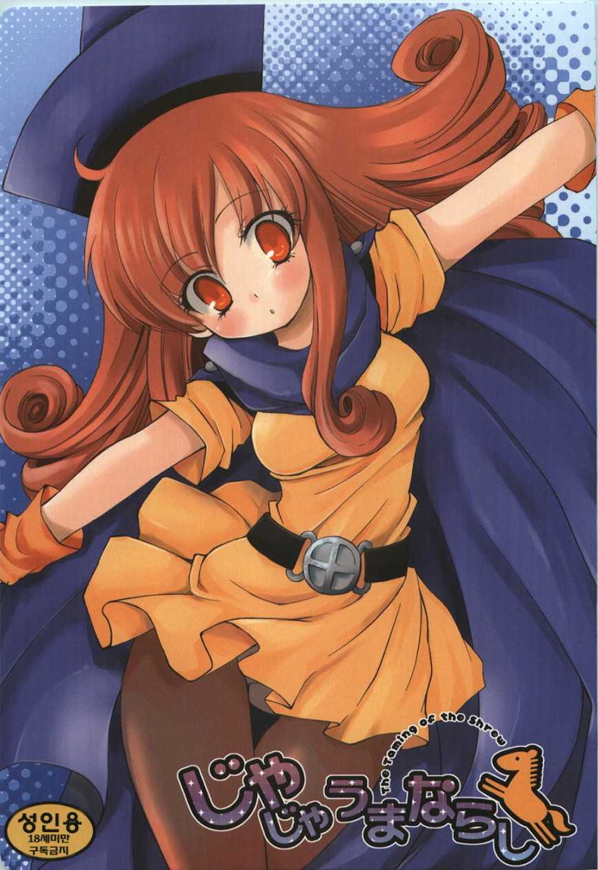 (C74) [URA-innosq (Arima Natsubon)] Jajauma Narashi (Dragon Quest IV) [Korean] - Page 1