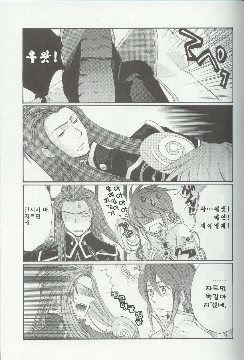 (C71) [Funyamafu (Sakazuki Ran)] Itsumo Miteita Sora no Hanashi (Tales of the Abyss) [Korean] - Page 10