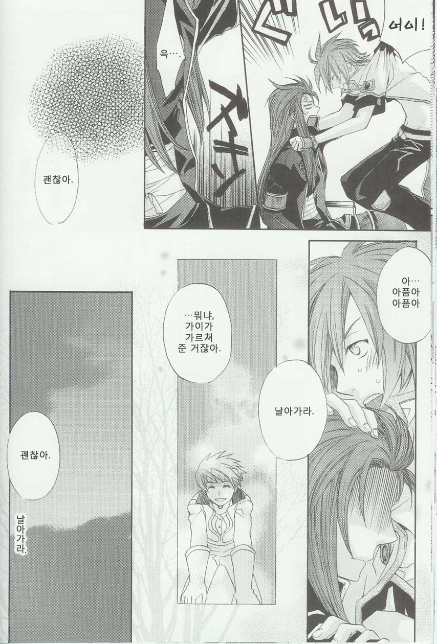 (C71) [Funyamafu (Sakazuki Ran)] Itsumo Miteita Sora no Hanashi (Tales of the Abyss) [Korean] - Page 25