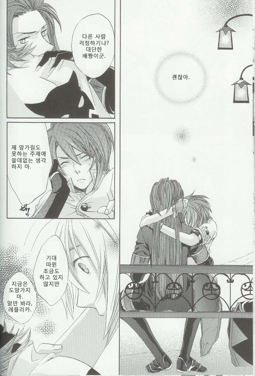 (C71) [Funyamafu (Sakazuki Ran)] Itsumo Miteita Sora no Hanashi (Tales of the Abyss) [Korean] - Page 27