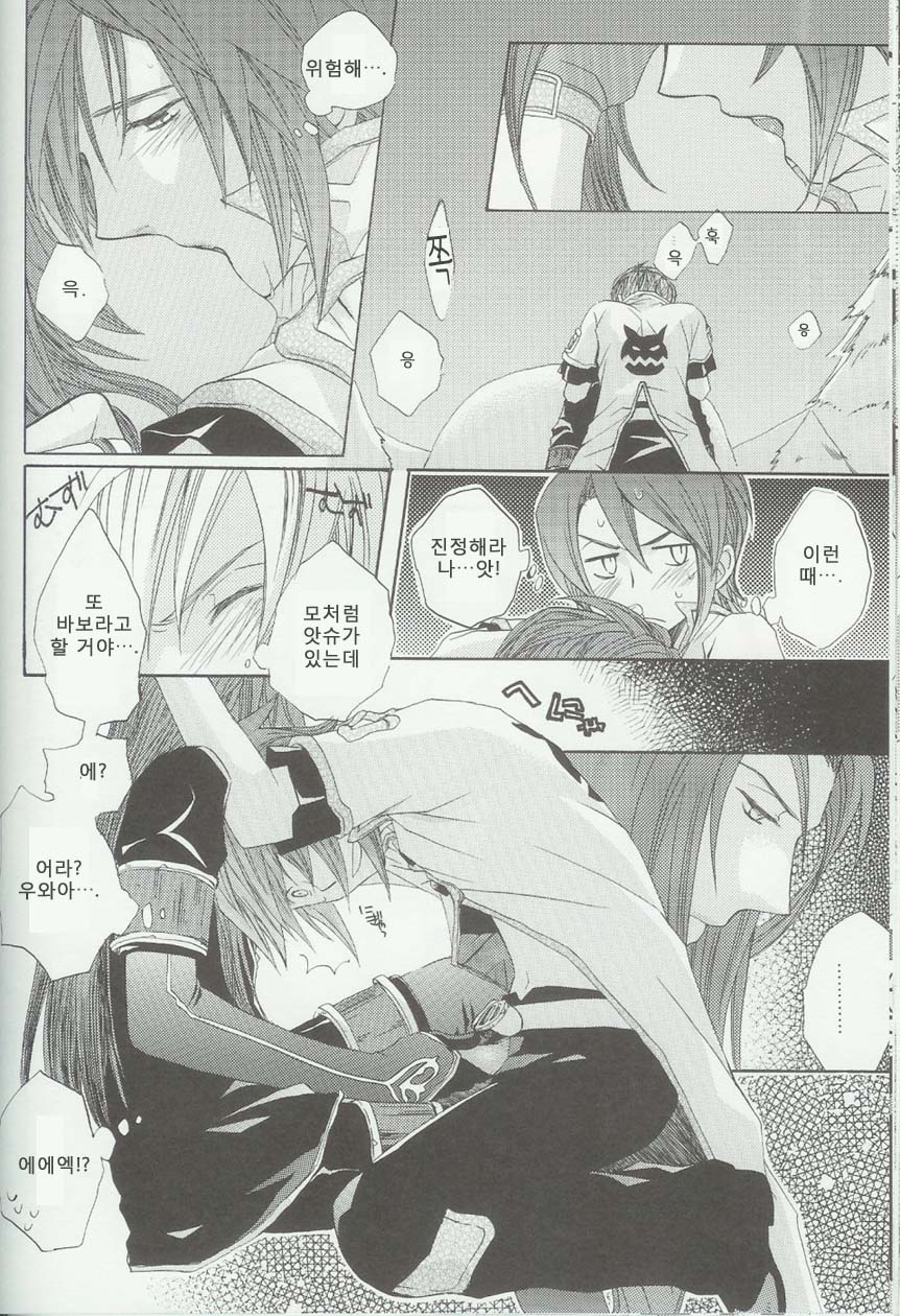 (C71) [Funyamafu (Sakazuki Ran)] Itsumo Miteita Sora no Hanashi (Tales of the Abyss) [Korean] - Page 29