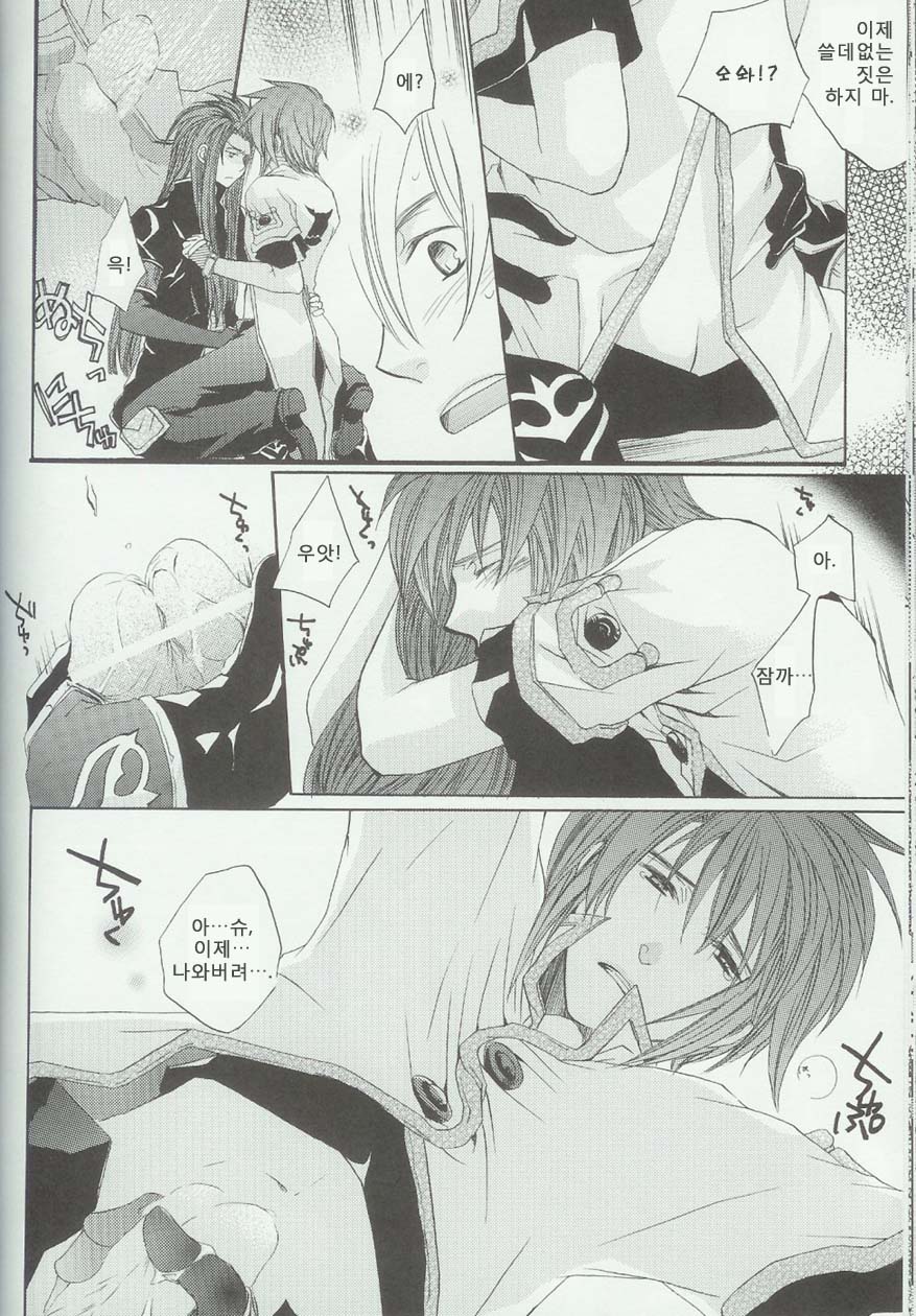 (C71) [Funyamafu (Sakazuki Ran)] Itsumo Miteita Sora no Hanashi (Tales of the Abyss) [Korean] - Page 33