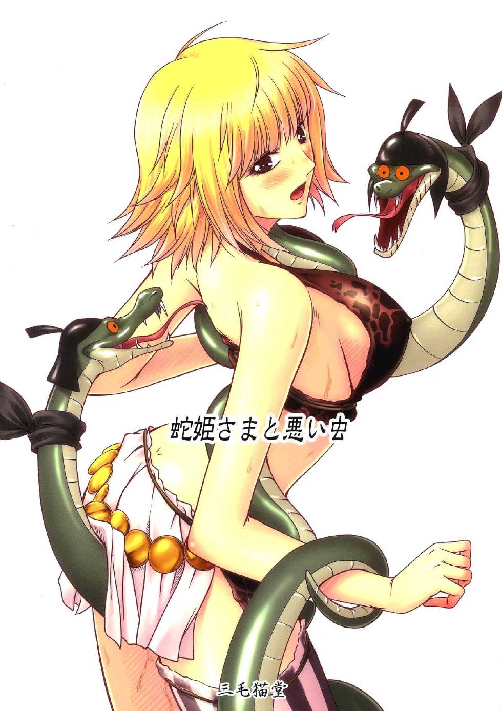 (C84) [Mikenekodou (Muten)] Hebi Hime-sama to Warui Mushi (One Piece) [German] {Haigen} - Page 38