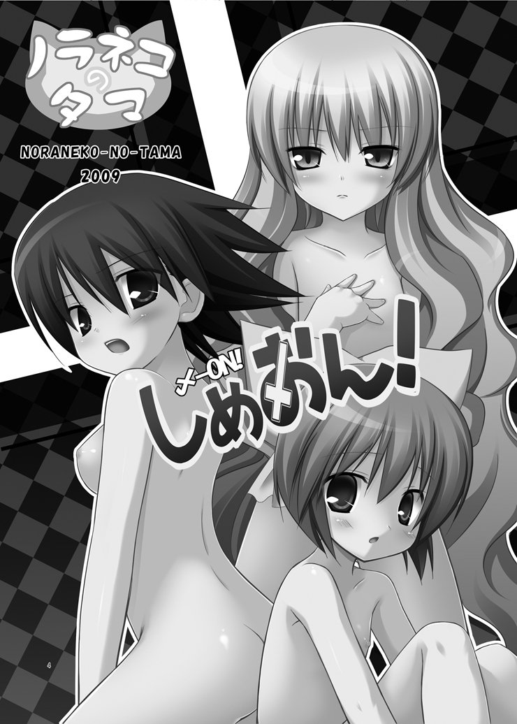 (C76) [Noraneko-no-tama (Yukino Minato)] Simeon! (NEEDLESS) [Korean] - Page 3