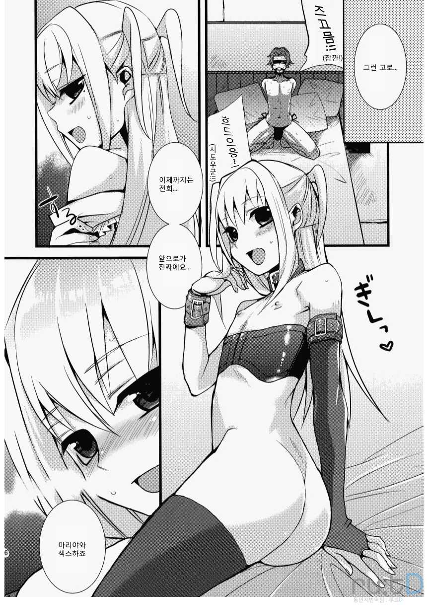 (Futaket 5) [abgrund (udk)] HOLIC + HOLIC 2 SIDE S (Maria Holic) [Korean] - Page 15
