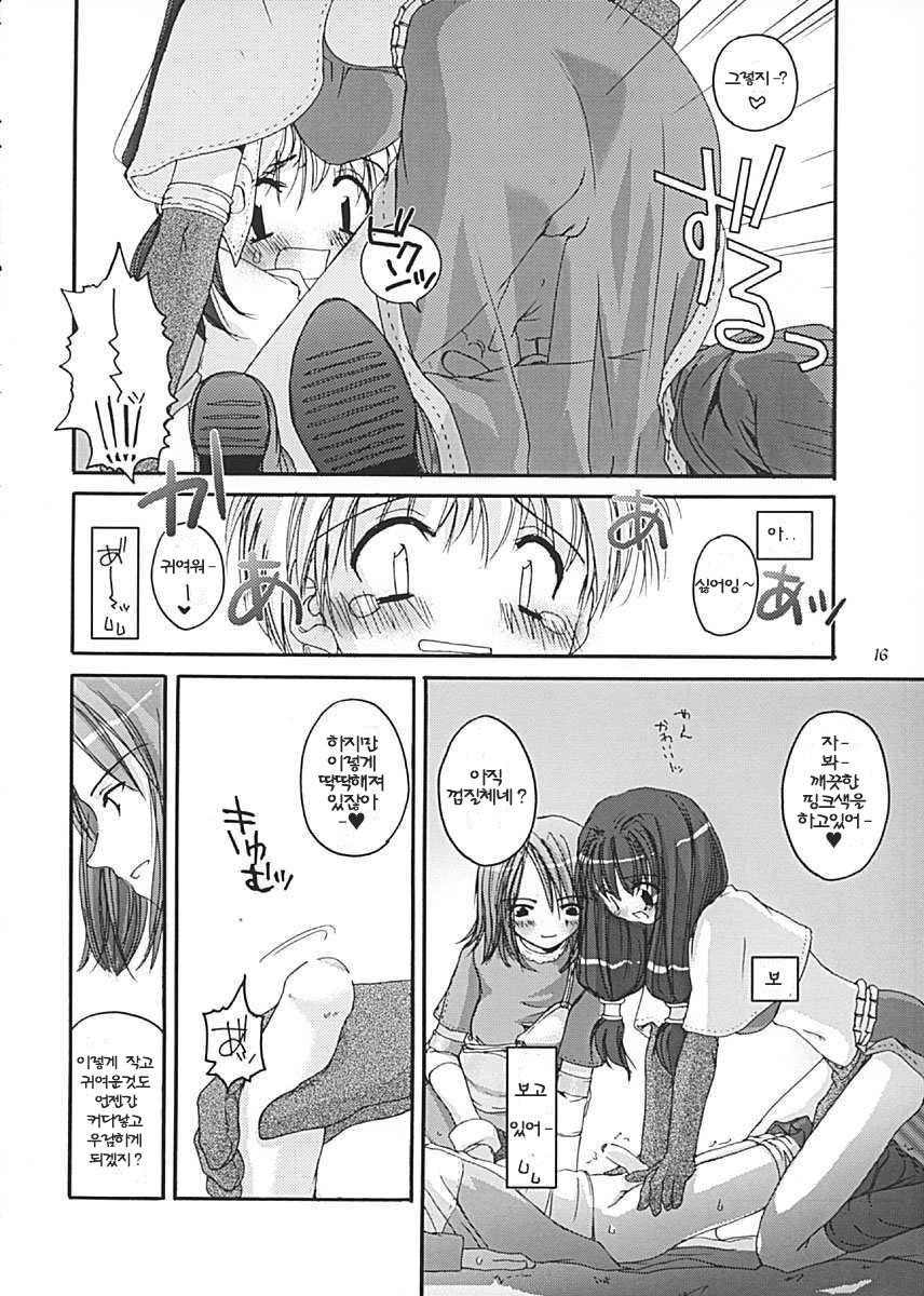 (C62) [Digital Lover (Nakajima Yuka)] D.L. Action 13 (Ragnarok Online) [Korean] - Page 16