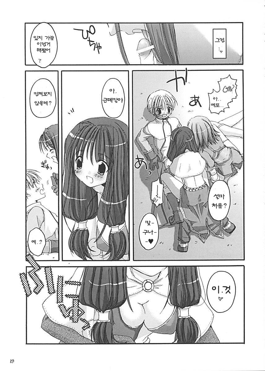 (C62) [Digital Lover (Nakajima Yuka)] D.L. Action 13 (Ragnarok Online) [Korean] - Page 19