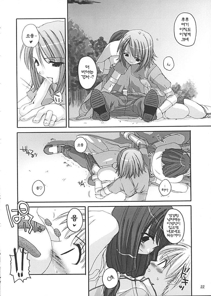 (C62) [Digital Lover (Nakajima Yuka)] D.L. Action 13 (Ragnarok Online) [Korean] - Page 22