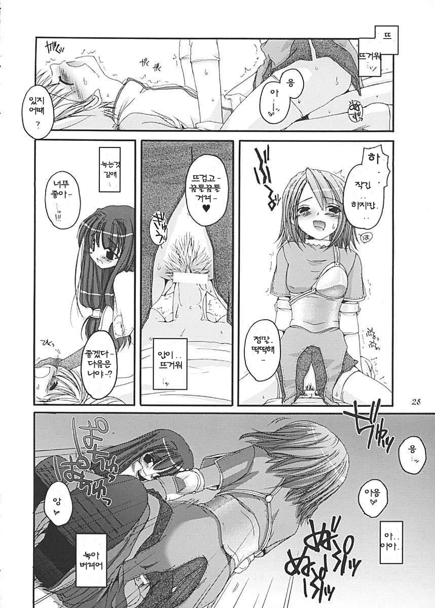(C62) [Digital Lover (Nakajima Yuka)] D.L. Action 13 (Ragnarok Online) [Korean] - Page 28