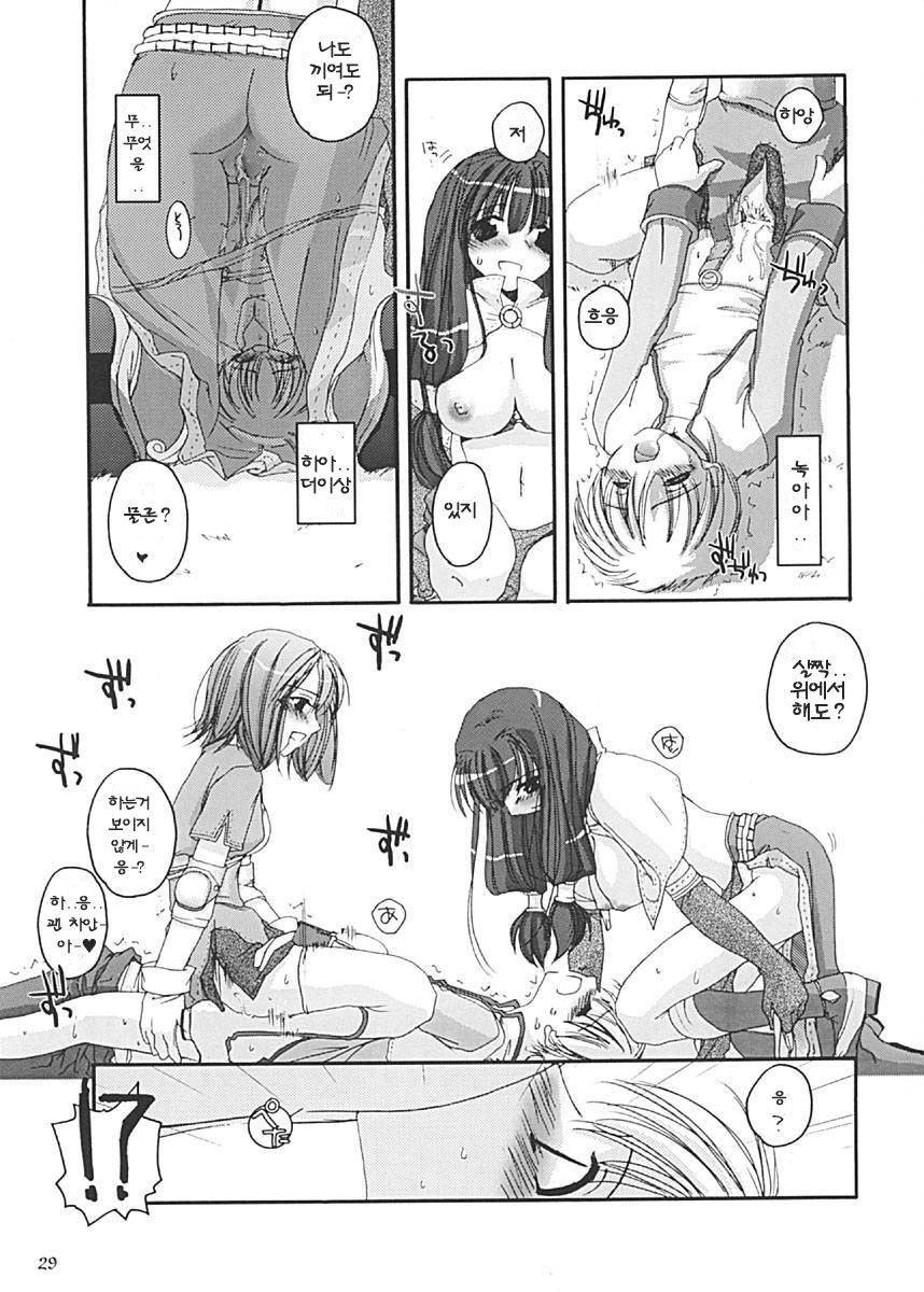 (C62) [Digital Lover (Nakajima Yuka)] D.L. Action 13 (Ragnarok Online) [Korean] - Page 29