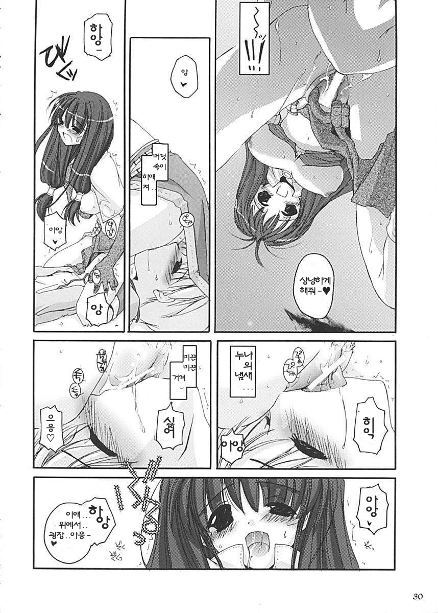 (C62) [Digital Lover (Nakajima Yuka)] D.L. Action 13 (Ragnarok Online) [Korean] - Page 30