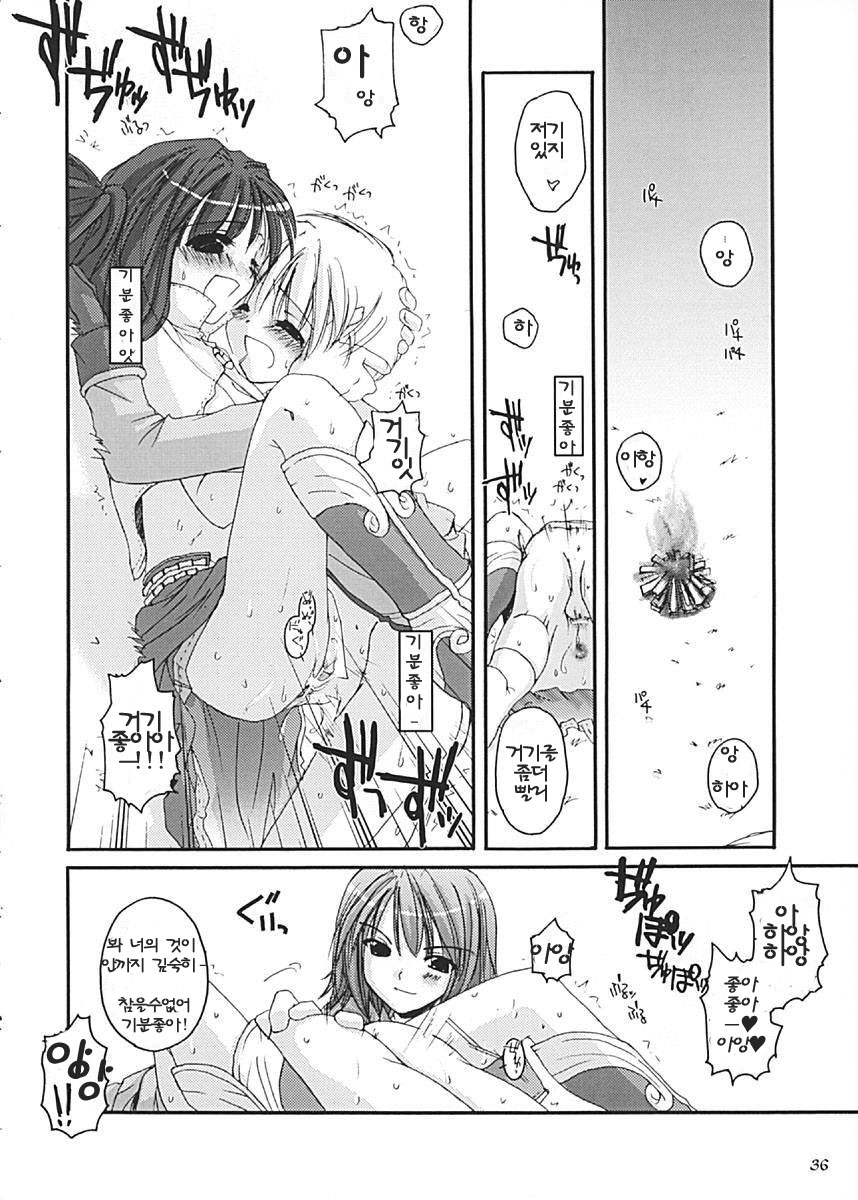 (C62) [Digital Lover (Nakajima Yuka)] D.L. Action 13 (Ragnarok Online) [Korean] - Page 36