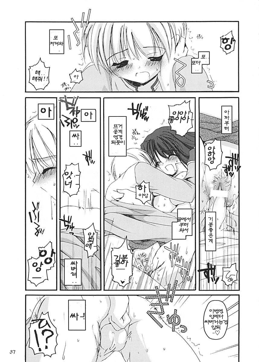 (C62) [Digital Lover (Nakajima Yuka)] D.L. Action 13 (Ragnarok Online) [Korean] - Page 37