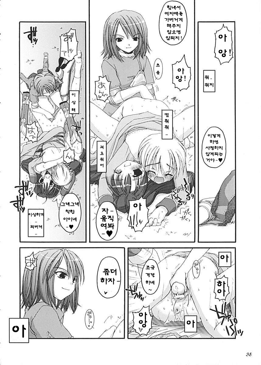 (C62) [Digital Lover (Nakajima Yuka)] D.L. Action 13 (Ragnarok Online) [Korean] - Page 38