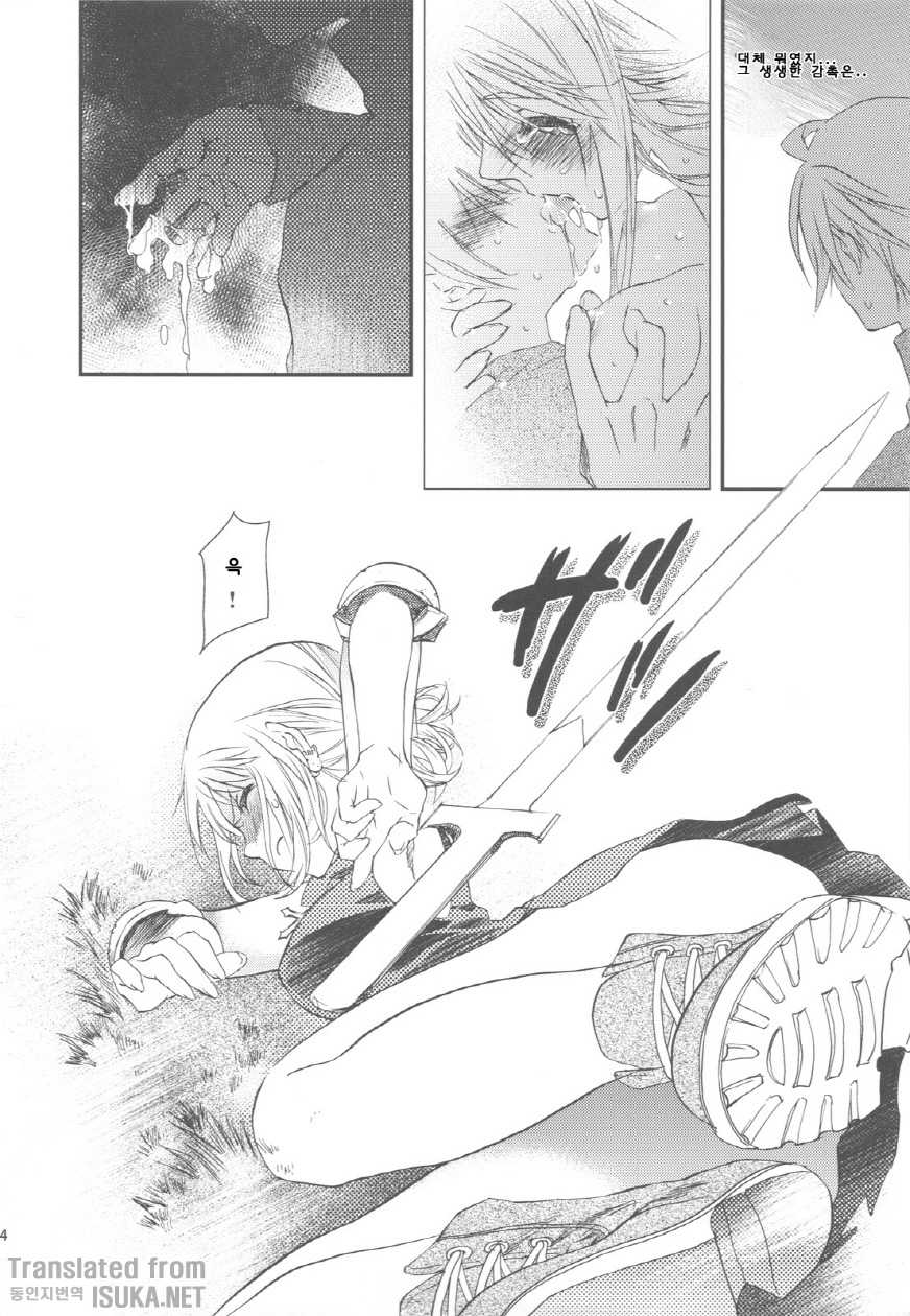 (C75) [Annin (Tooka)] NamelessDance with Agrius (Final Fantasy Tactics) [Korean] {ISUKA} - Page 5