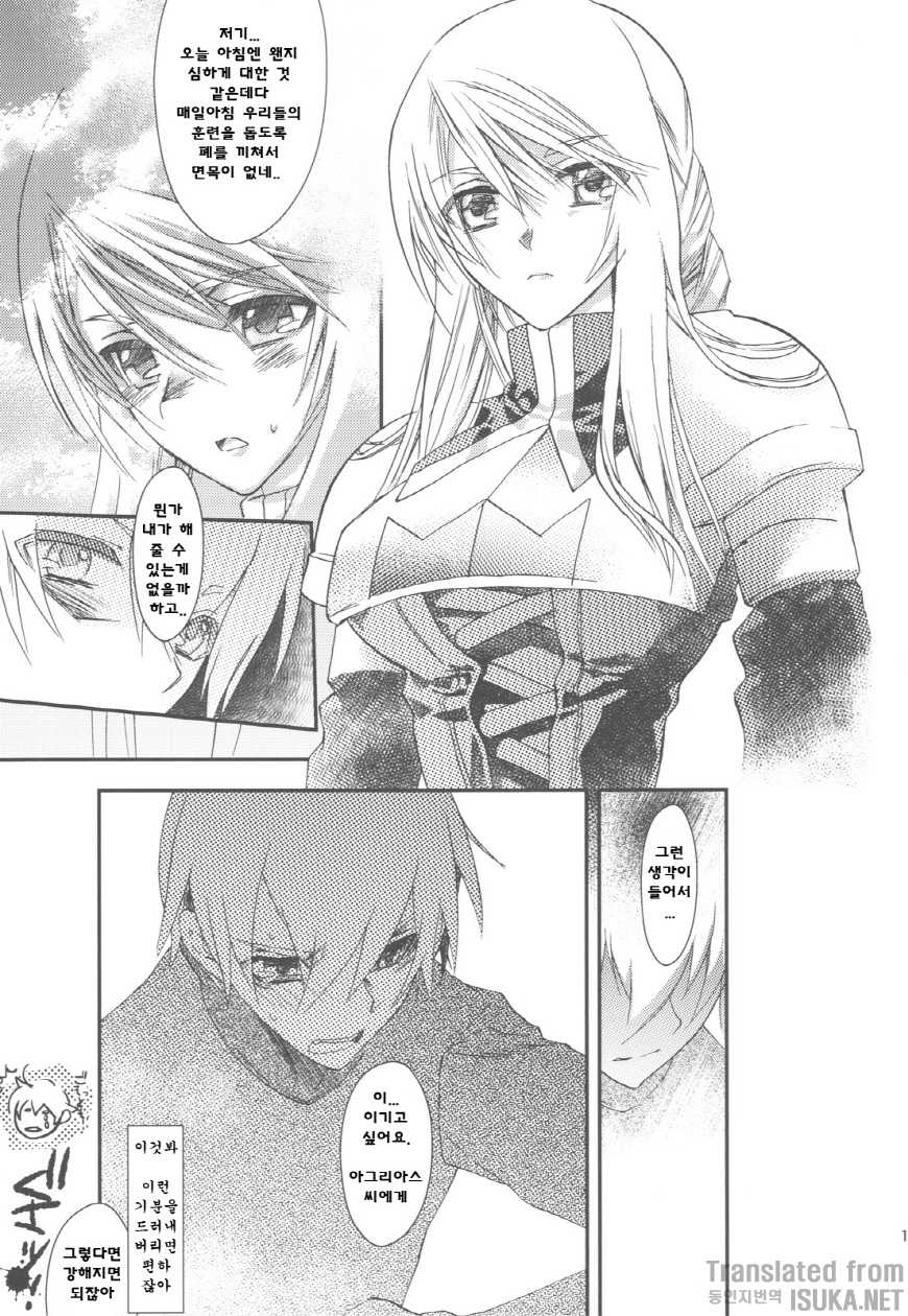 (C75) [Annin (Tooka)] NamelessDance with Agrius (Final Fantasy Tactics) [Korean] {ISUKA} - Page 12