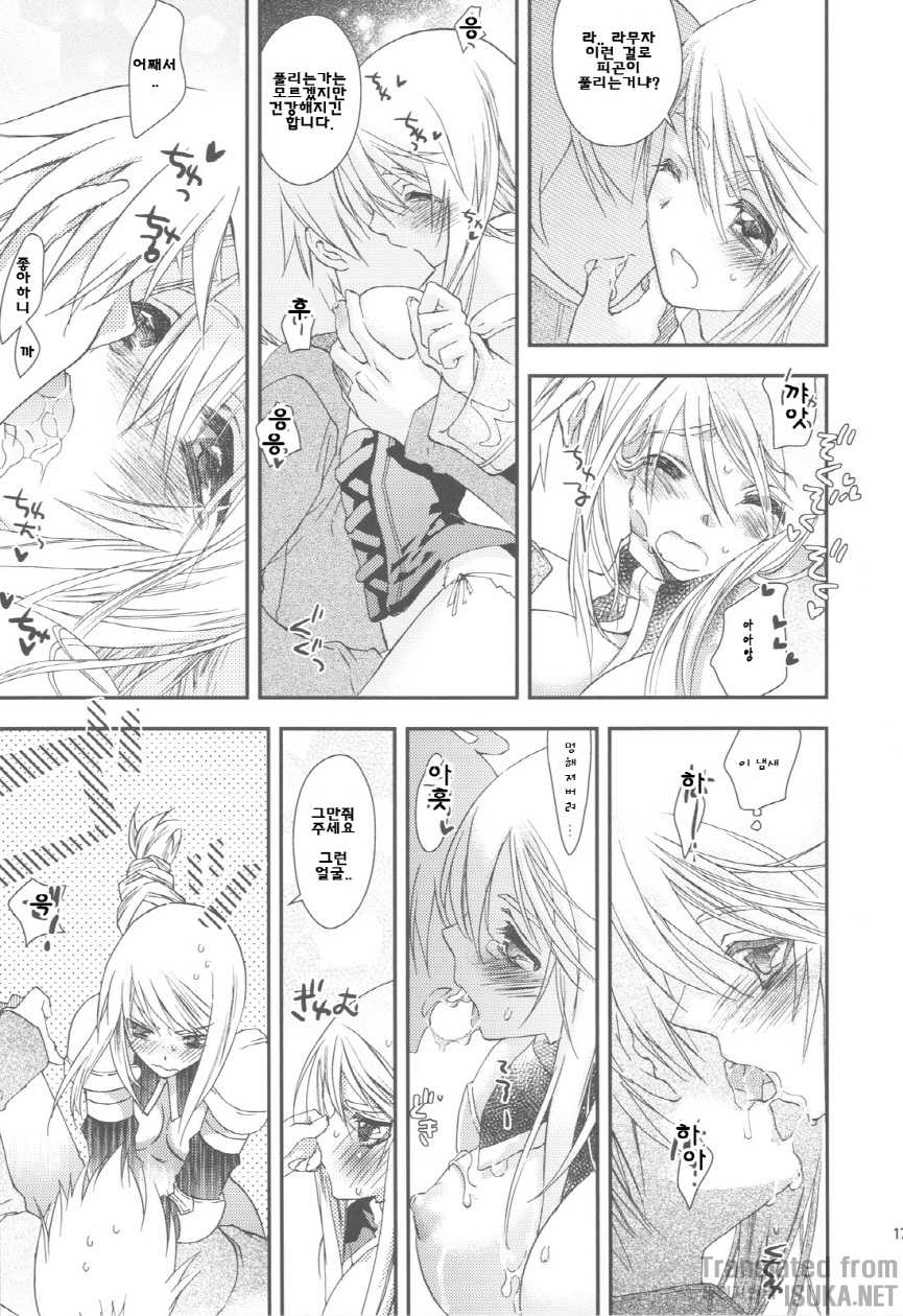 (C75) [Annin (Tooka)] NamelessDance with Agrius (Final Fantasy Tactics) [Korean] {ISUKA} - Page 18