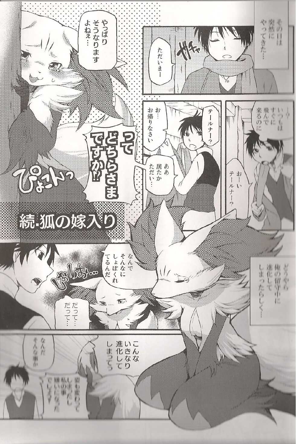 (C86) [Dogear (Inumimi Moeta)] Roman de Renart 2 (Pokémon X and Y) - Page 28