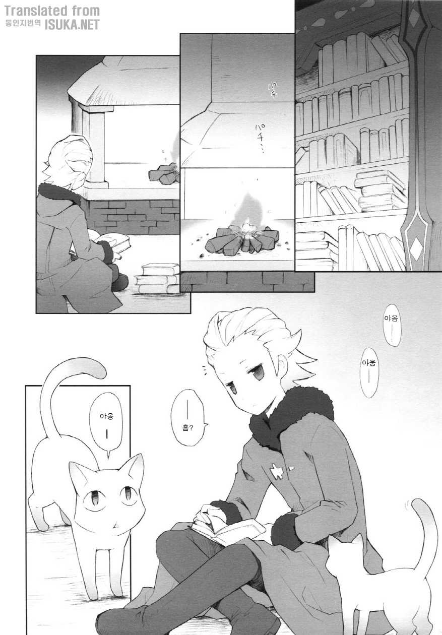 (COMIC1☆4) [Bakuhatsu BRS. (B.Tarou)] Cat Princess (Final Fantasy Gaiden) [Korean] {ISUKA} - Page 8