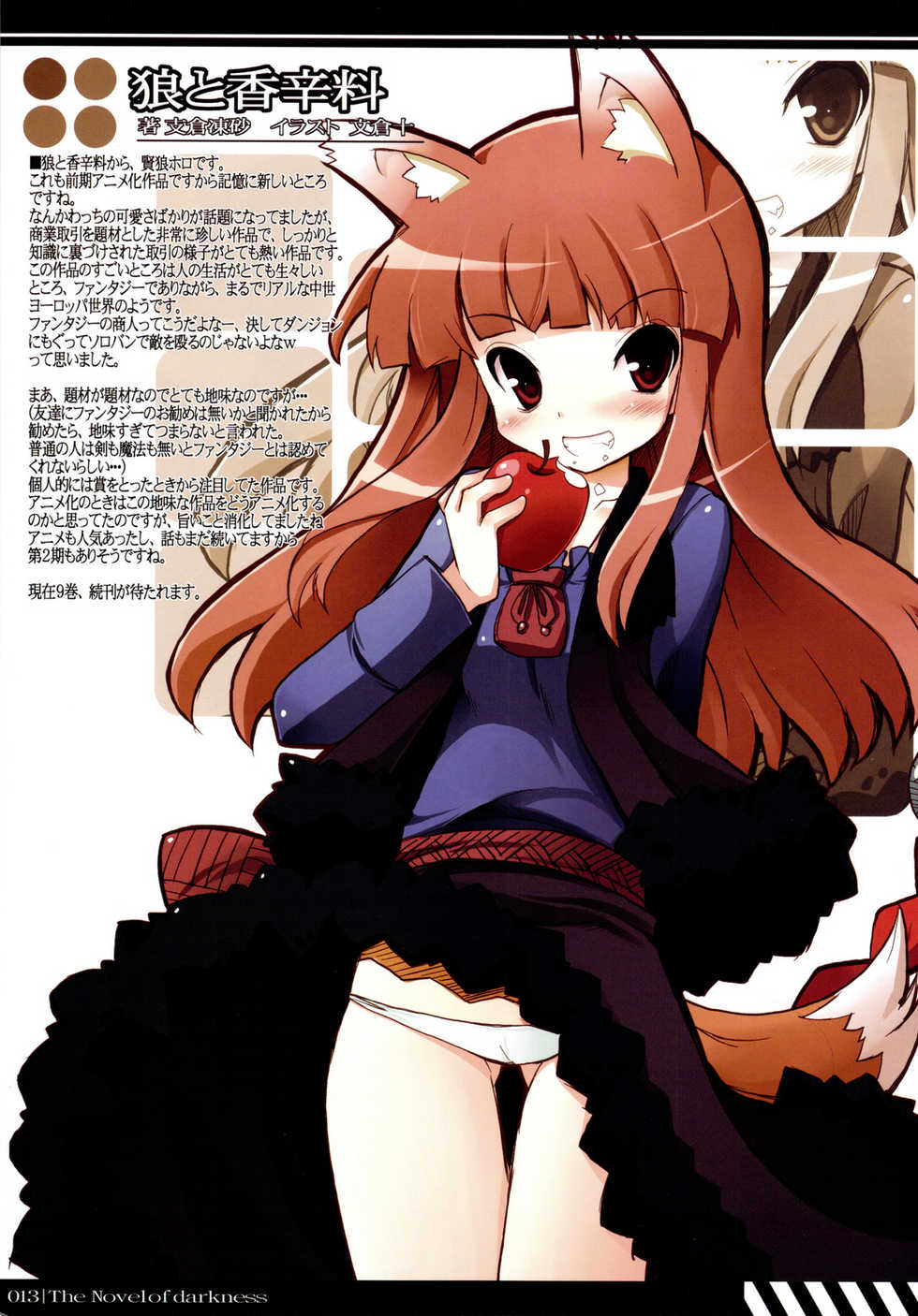 (C75) [Tataraba (Tsurugi Hagane)] Kurayami Bunko (Various) - Page 13