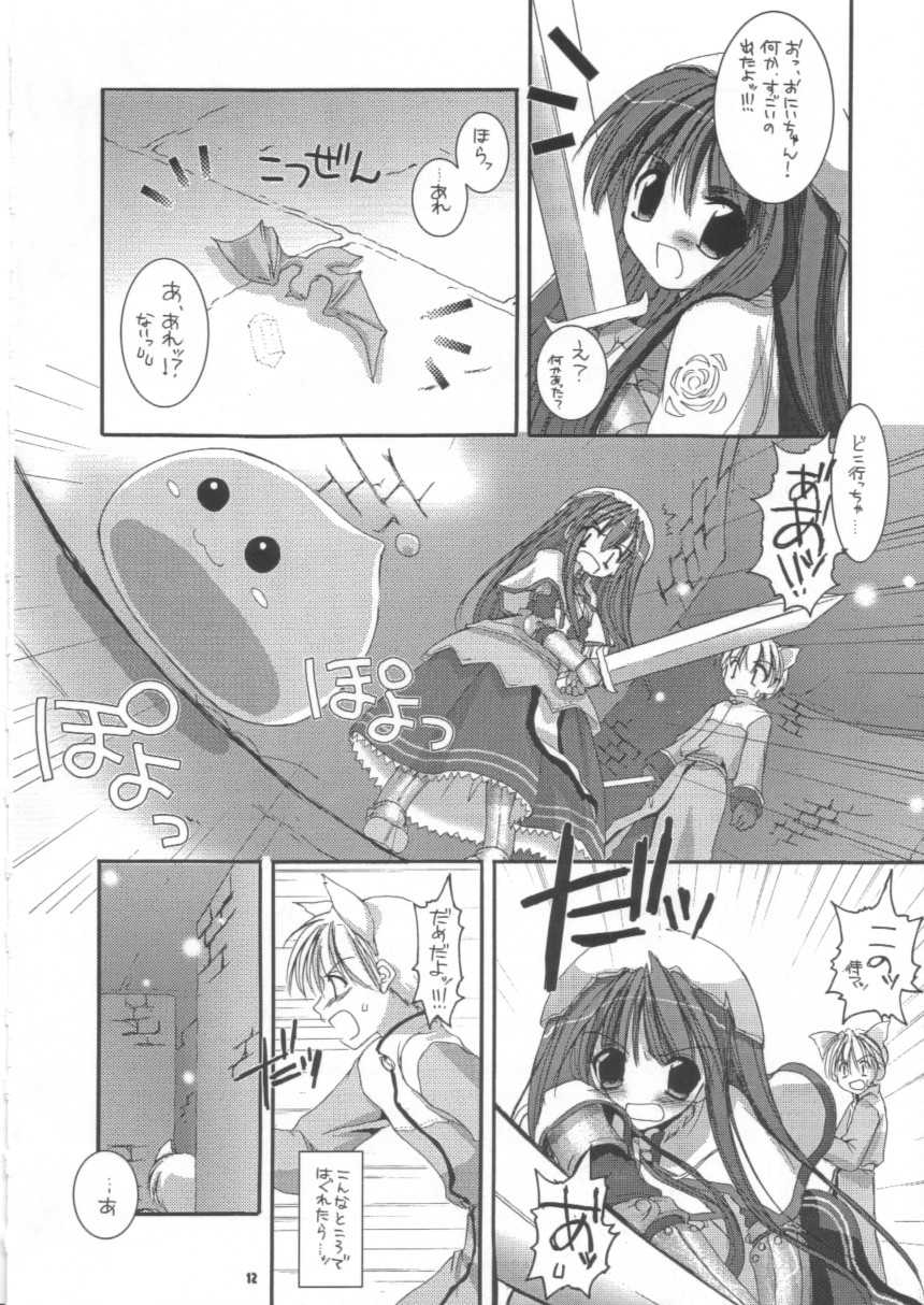 (C63) [Digital Lover (Nakajima Yuka)] D.L.action 16 (Ragnarok Online) - Page 12