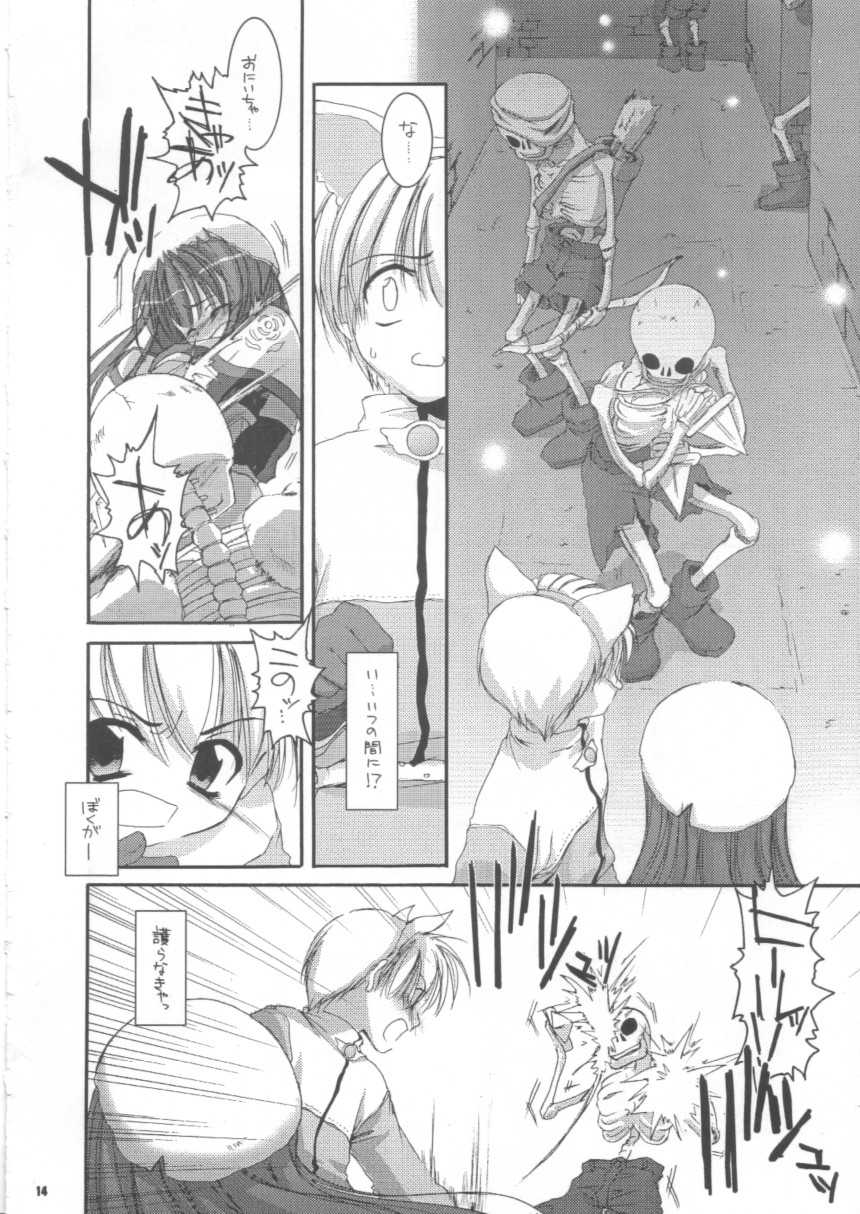 (C63) [Digital Lover (Nakajima Yuka)] D.L.action 16 (Ragnarok Online) - Page 14