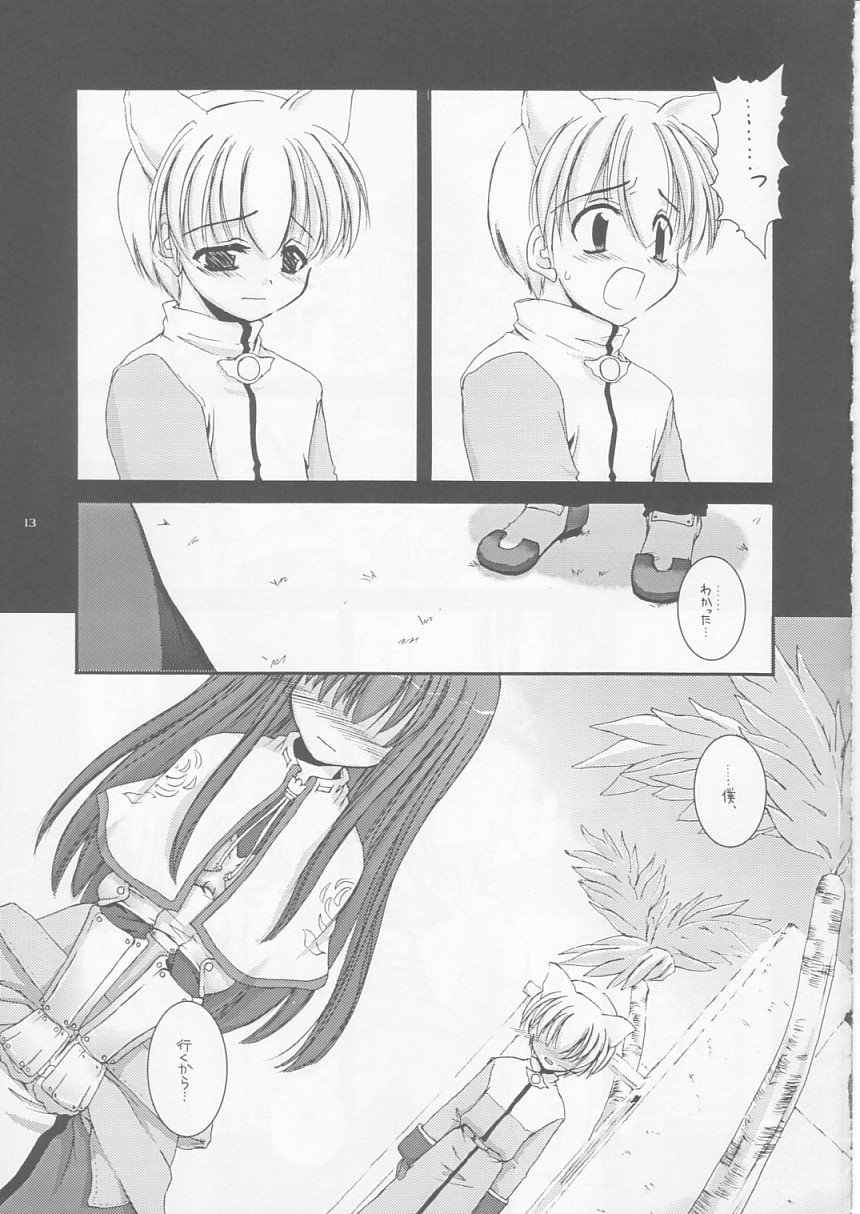 (CR33) [Digital Lover (Nakajima Yuka)] D.L. action 17 (Ragnarok Online) - Page 13