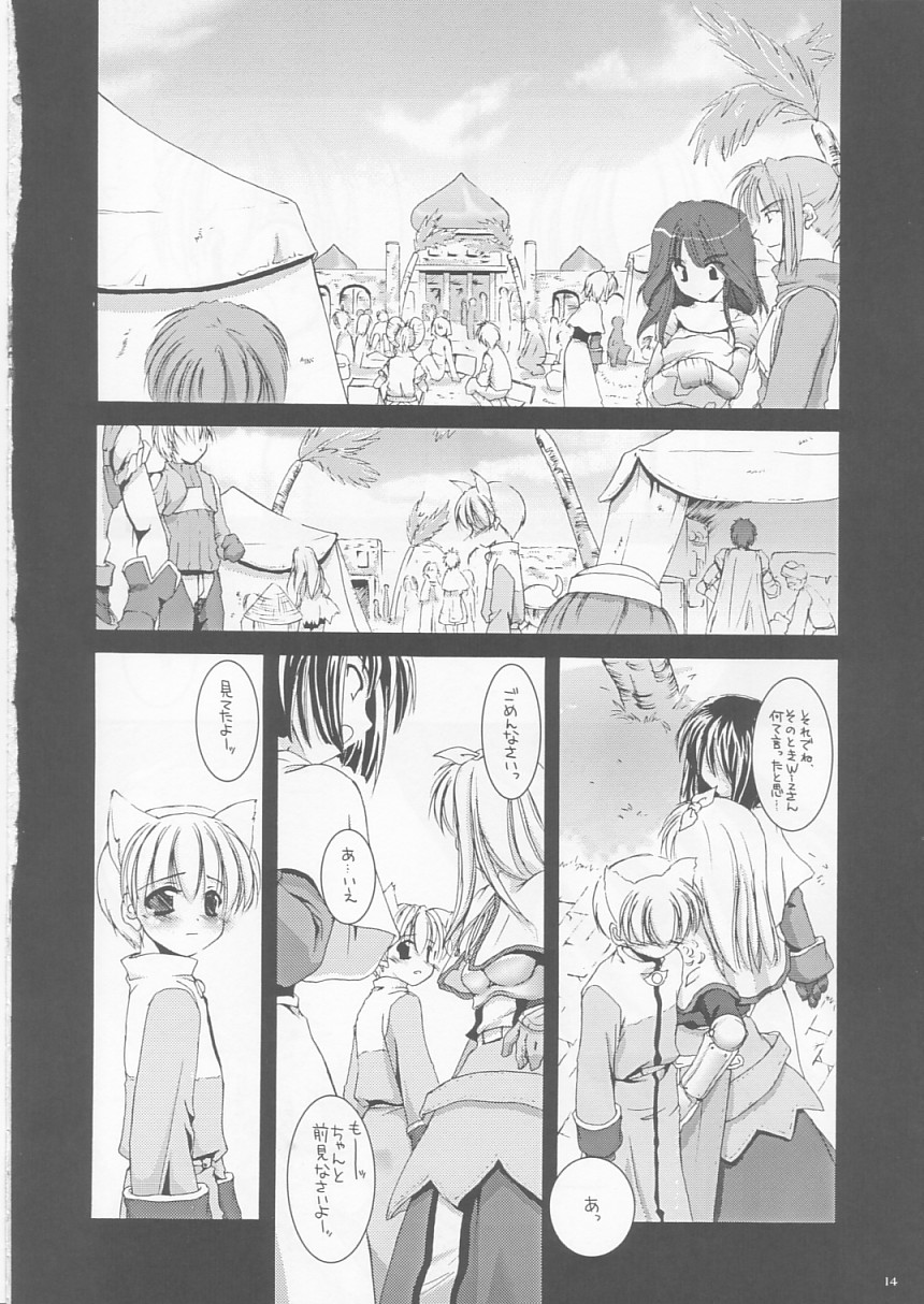 (CR33) [Digital Lover (Nakajima Yuka)] D.L. action 17 (Ragnarok Online) - Page 14